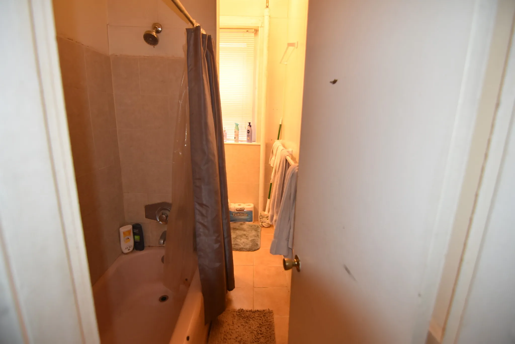 17 Aberdeen St, Fenway