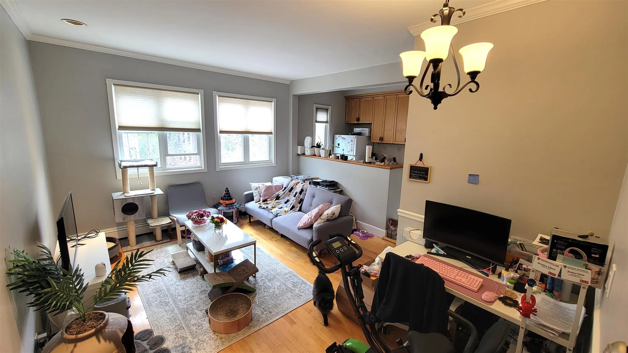 88 Hancock St, Mid-Cambridge