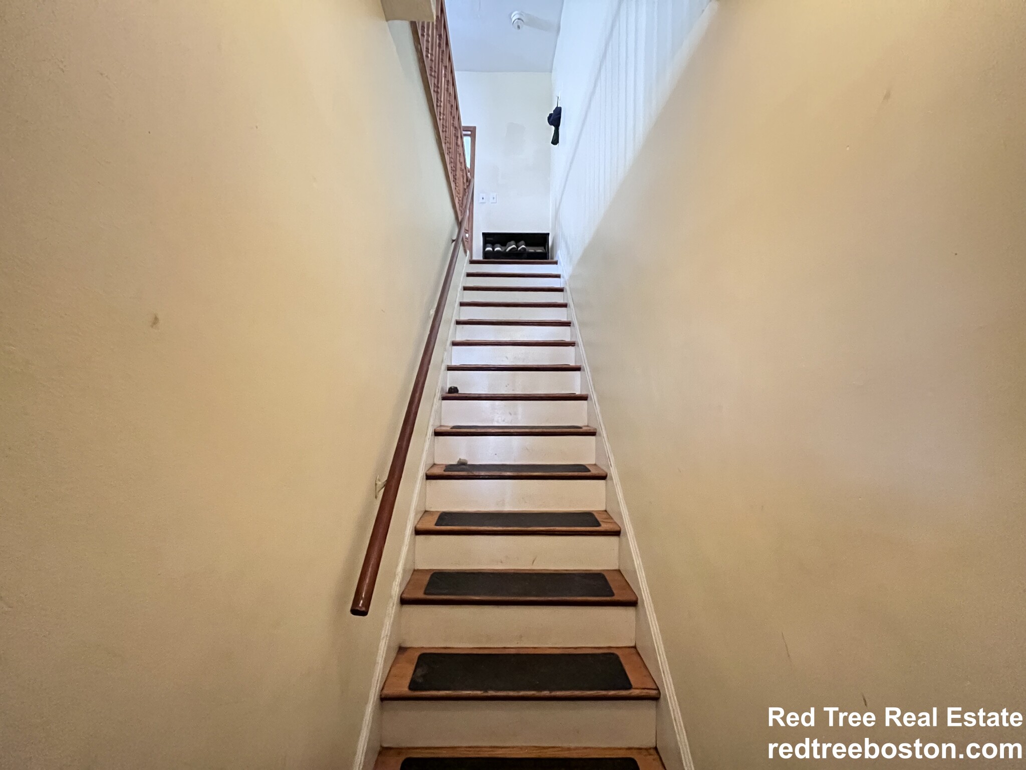 3 Foster St, Brighton