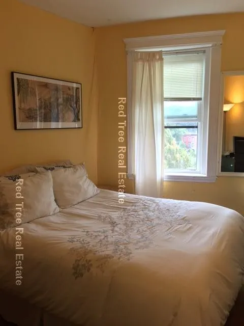 31 Orkney Rd, Brighton