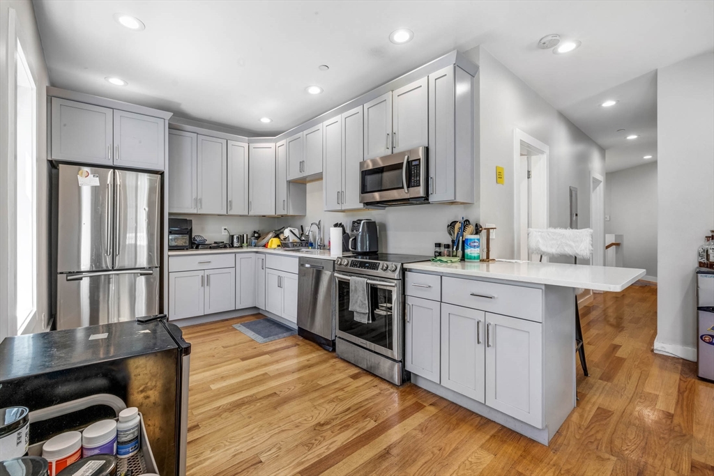 8 W Bellflower St, Dorchester