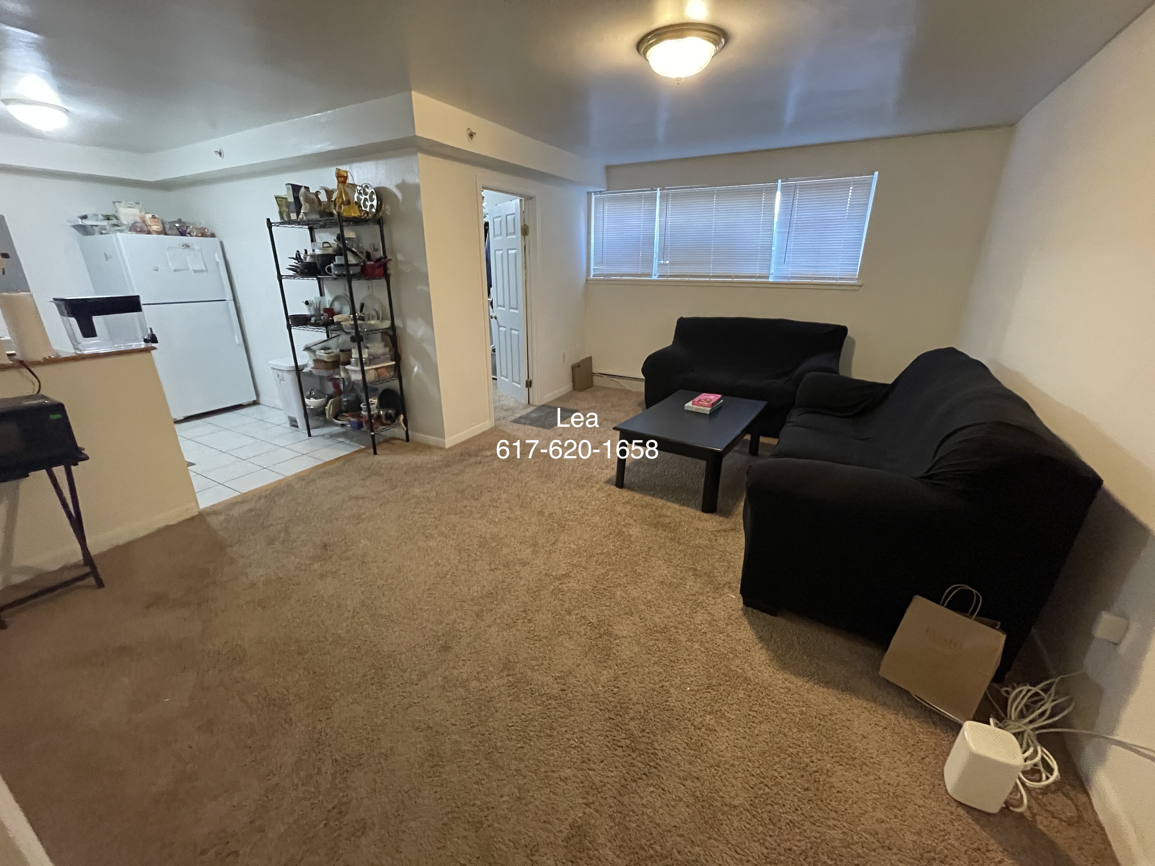 8 Griggs St, Brighton