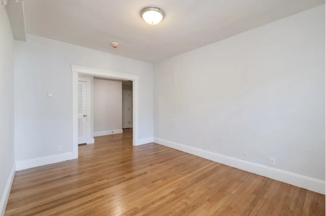 19A Forest St, Baldwin