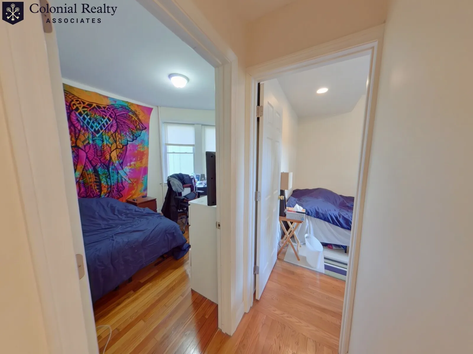 56 Egmont St, North Brookline