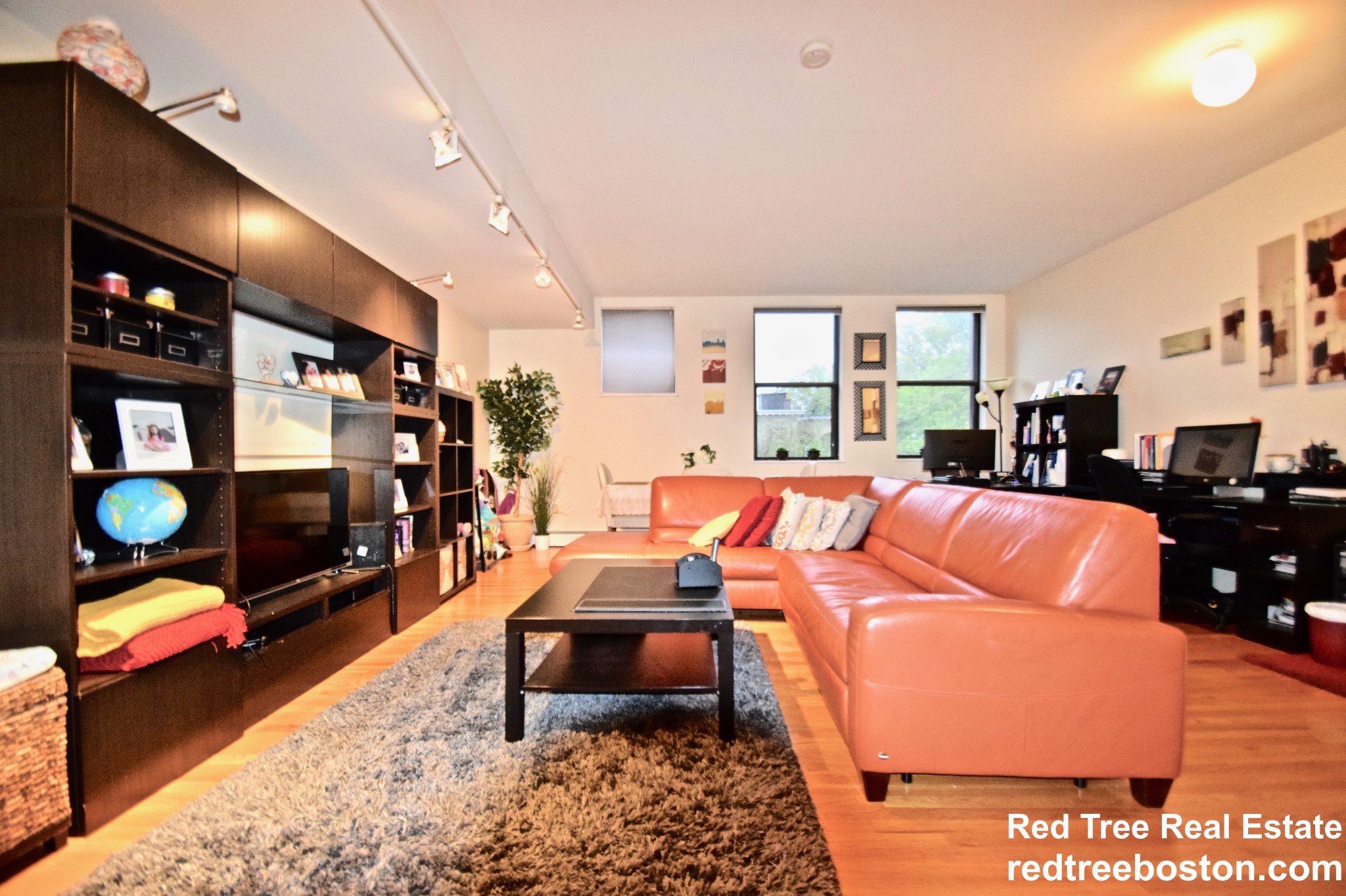 50 Winchester St, Coolidge Corner