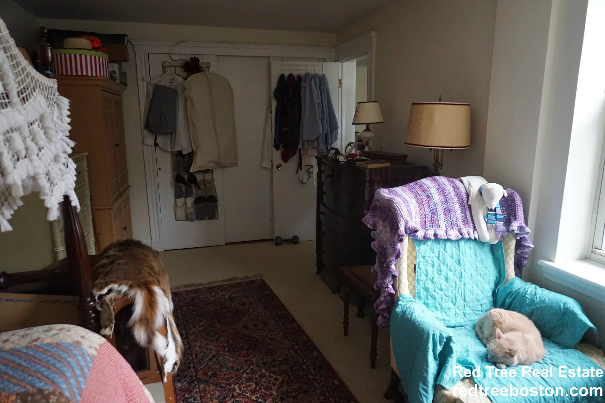 20 Colborne Rd, Brighton