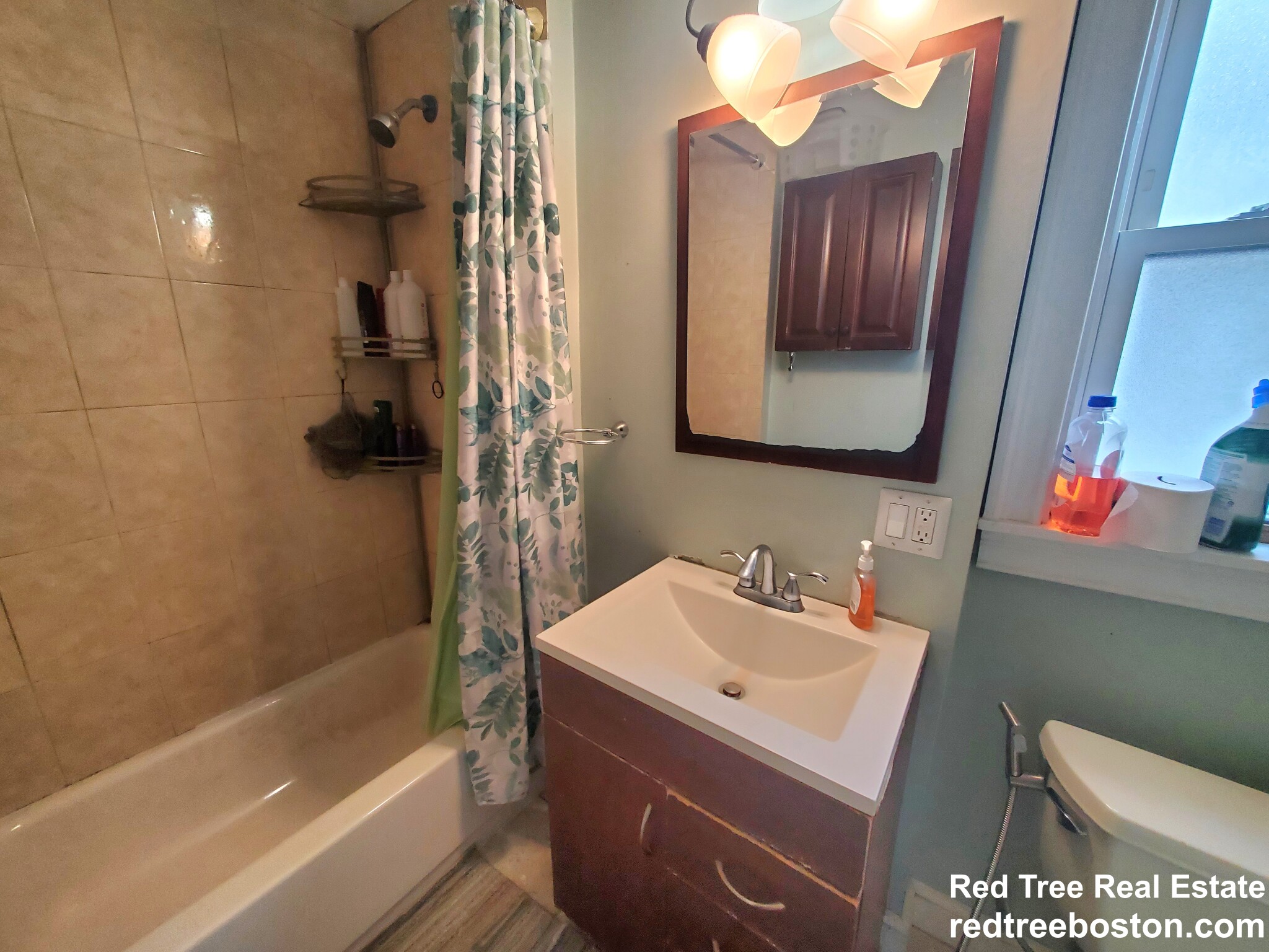 234 Cypress St, Brookline