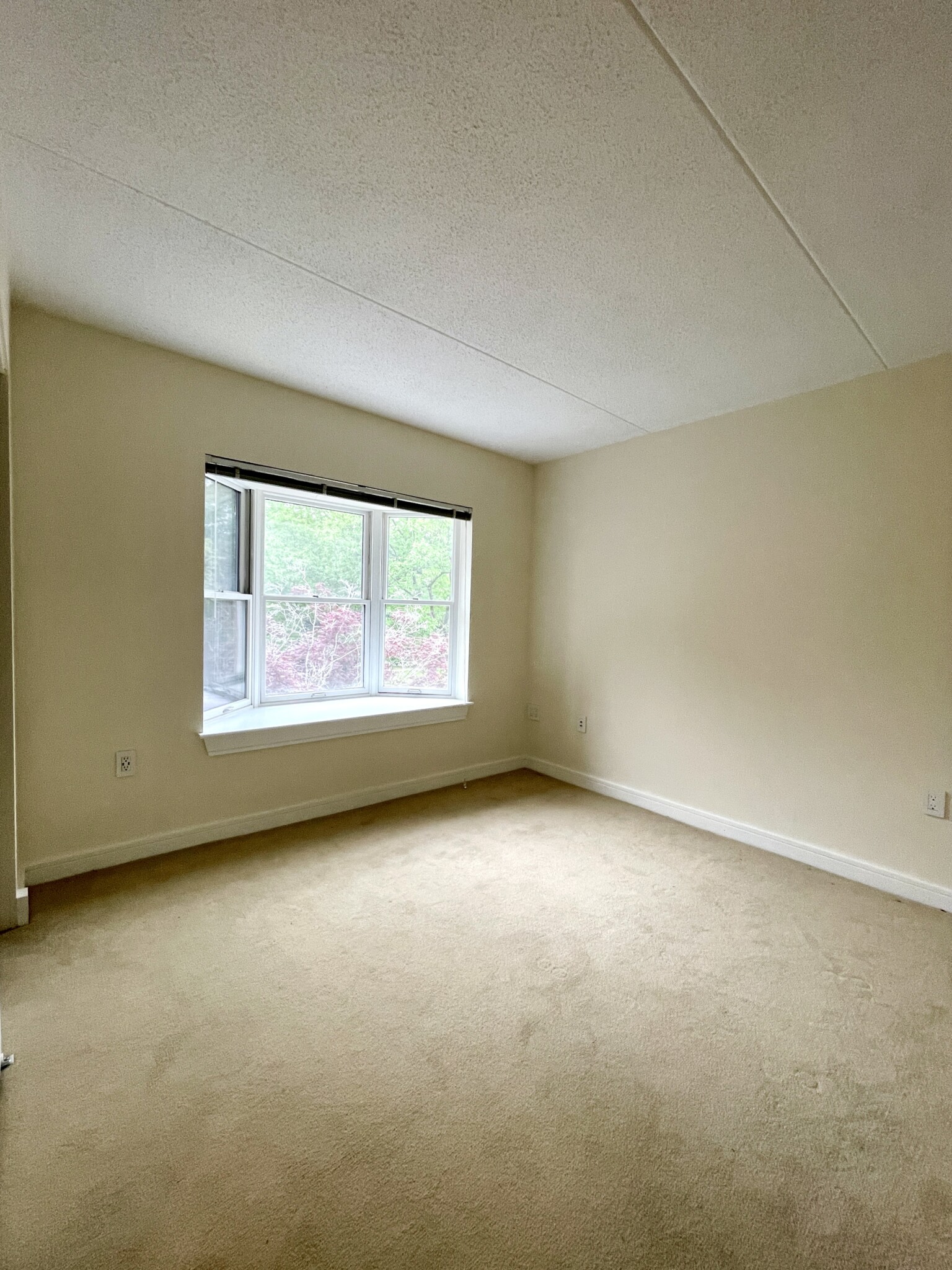 77 Marion St, Coolidge Corner