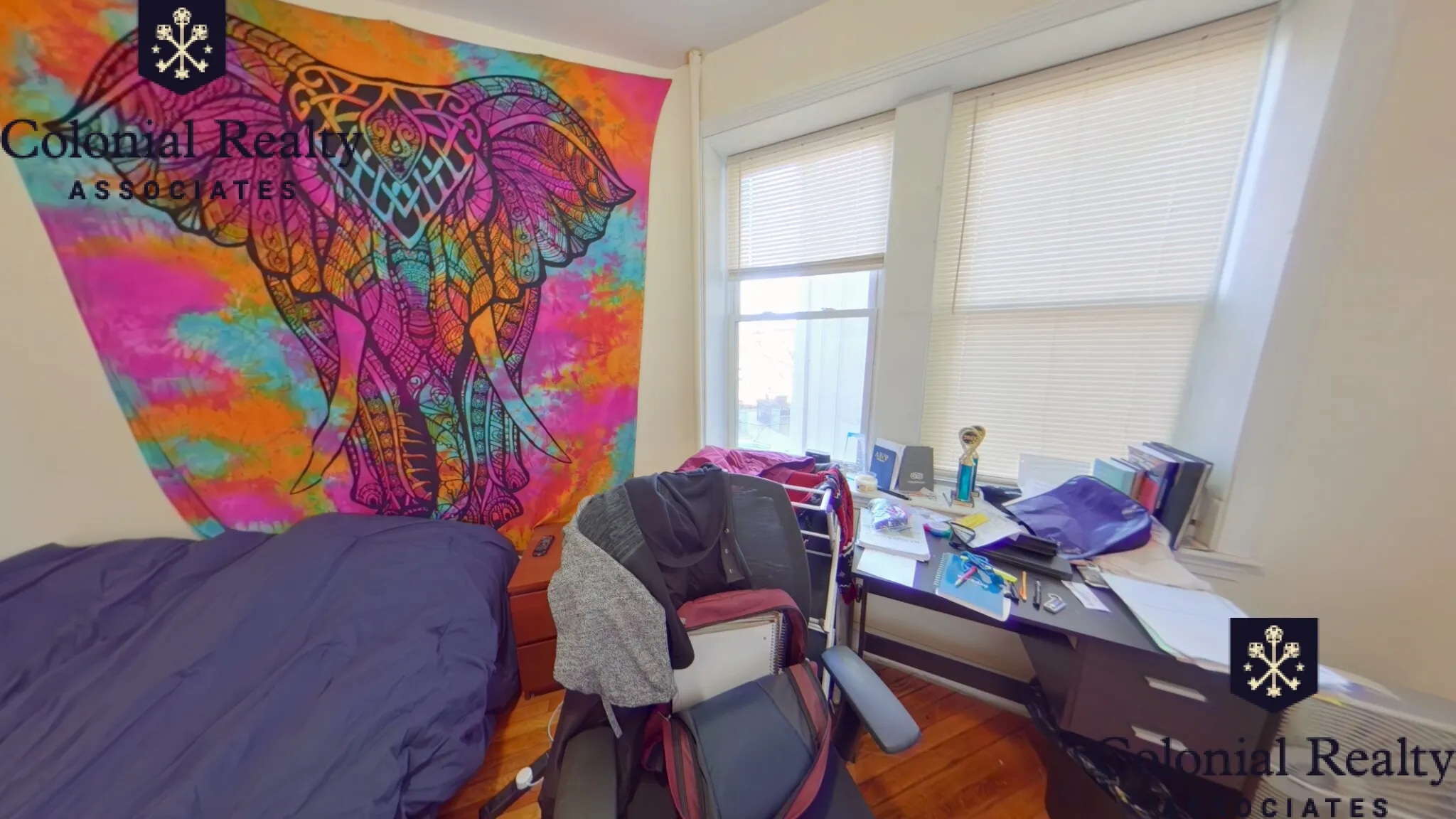 62 Egmont St, North Brookline