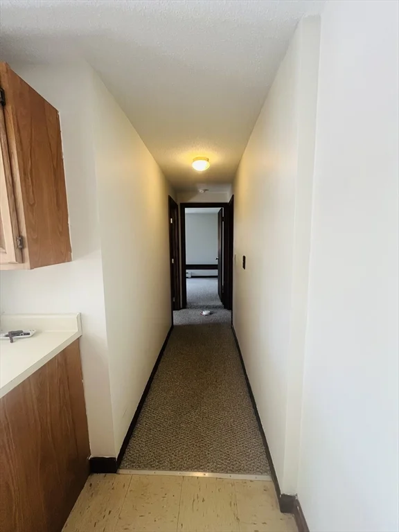 3 Stafford St, Plymouth