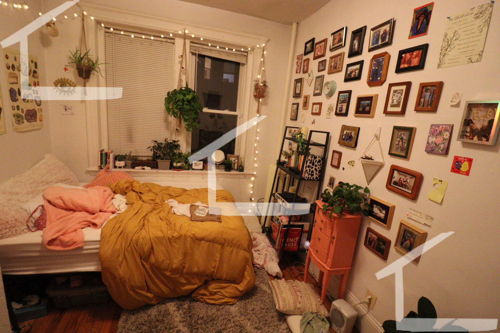 4 Price Rd, Brighton