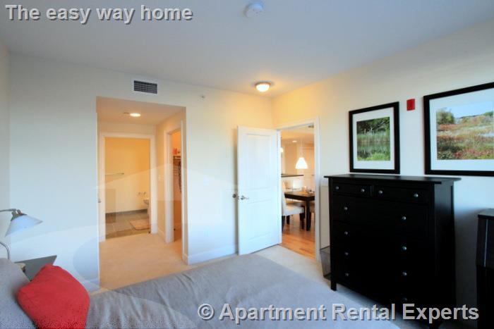 7 Cameron Ave, Davis Square