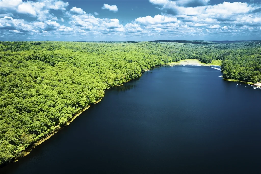 50 Browning Pond Cir, North Spencer