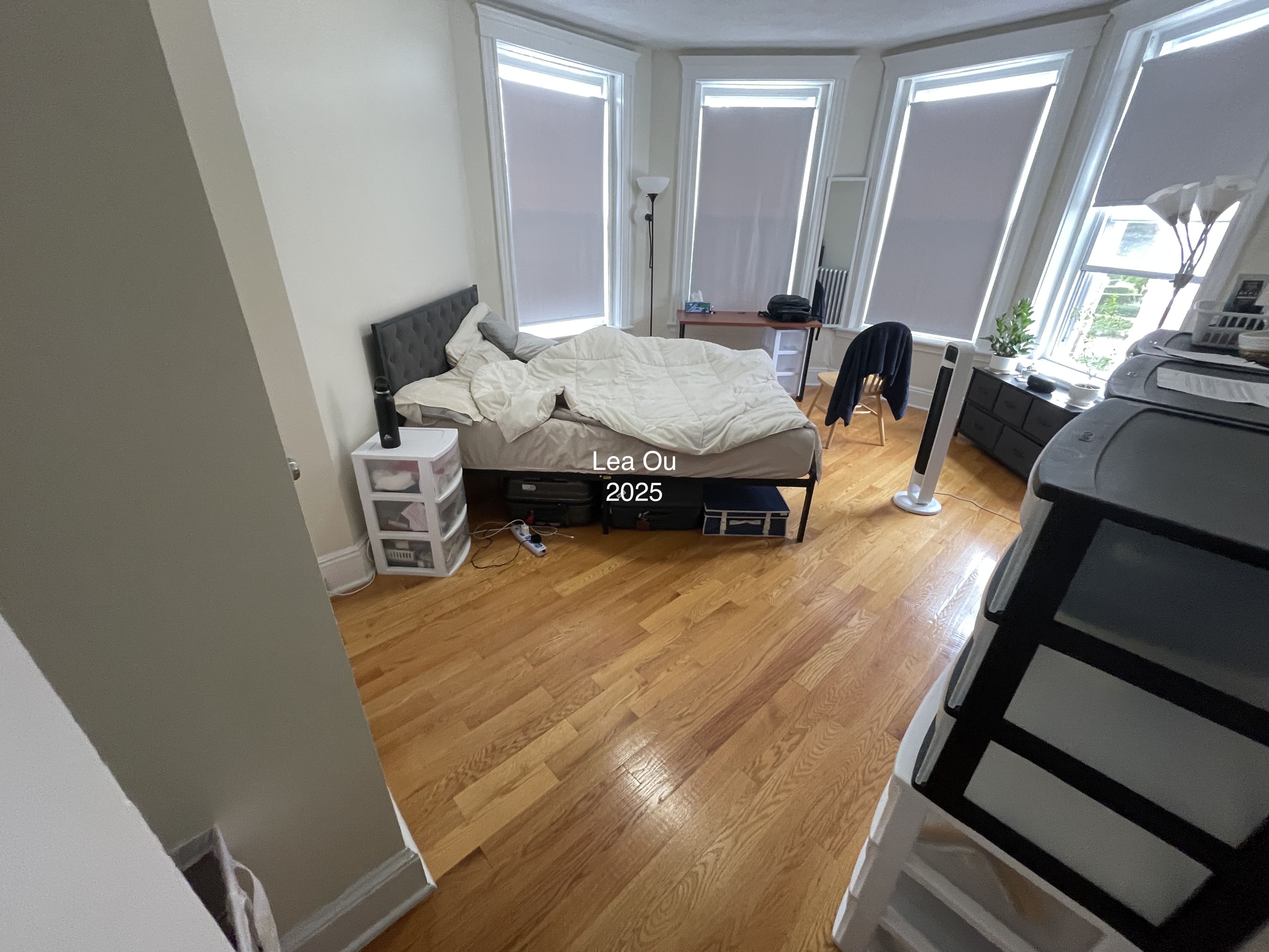 7 Mount Hood Rd, Brighton