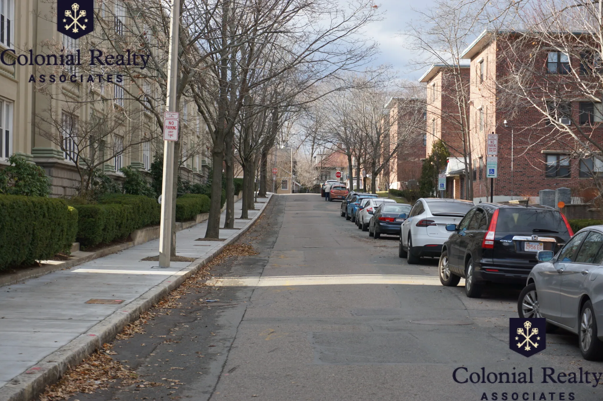 56 Egmont St, North Brookline