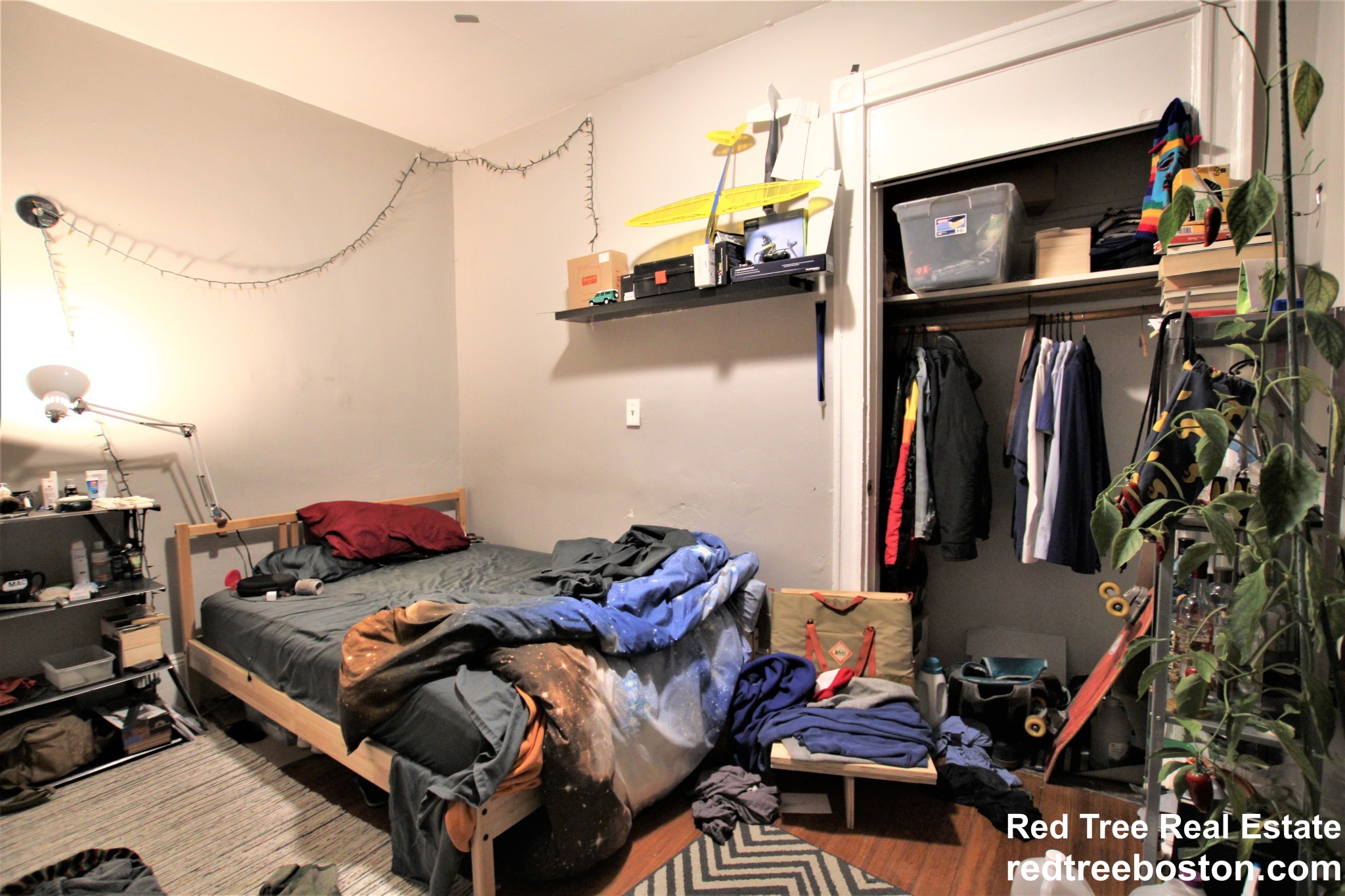 8 Sunset St, Mission Hill