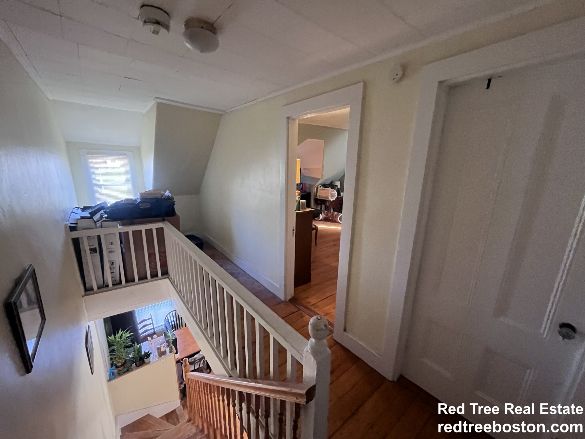 3 Foster St, Brighton