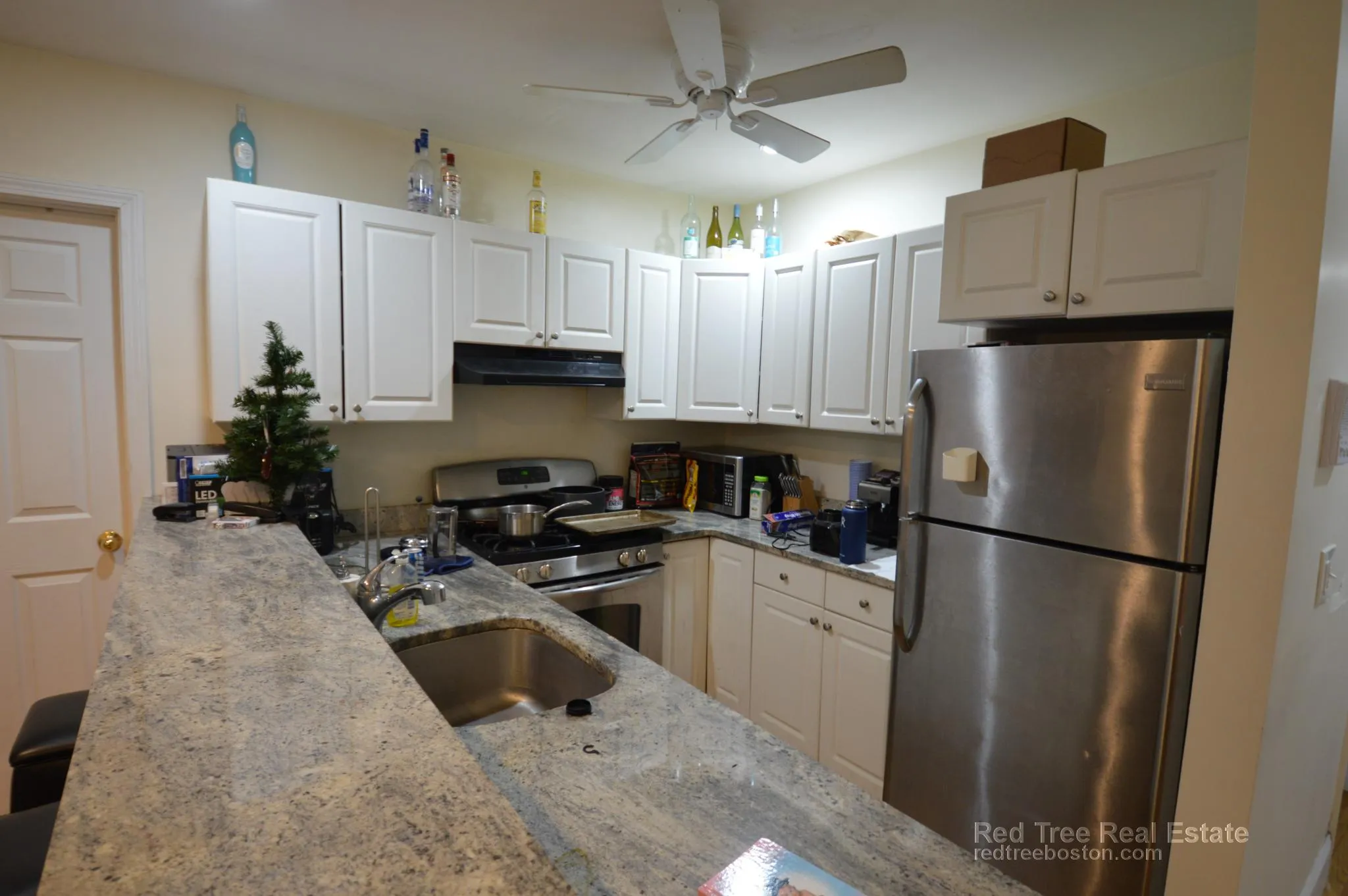 66 Egmont St, North Brookline