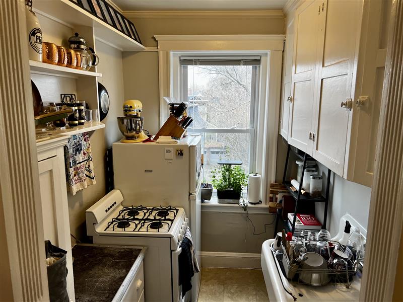 11 Gray St, Neighborhood Nine