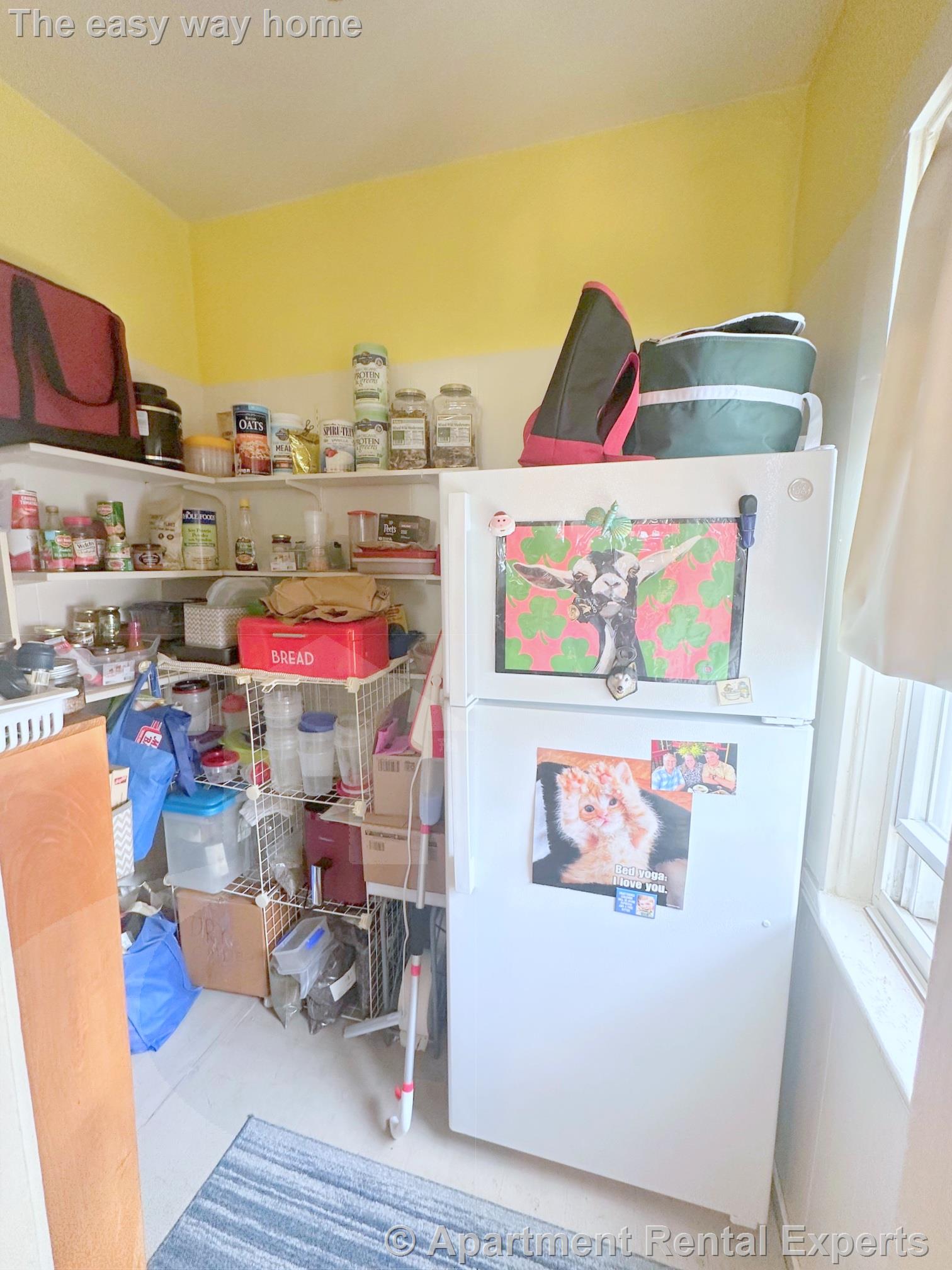 11 Forster St, Winter Hill