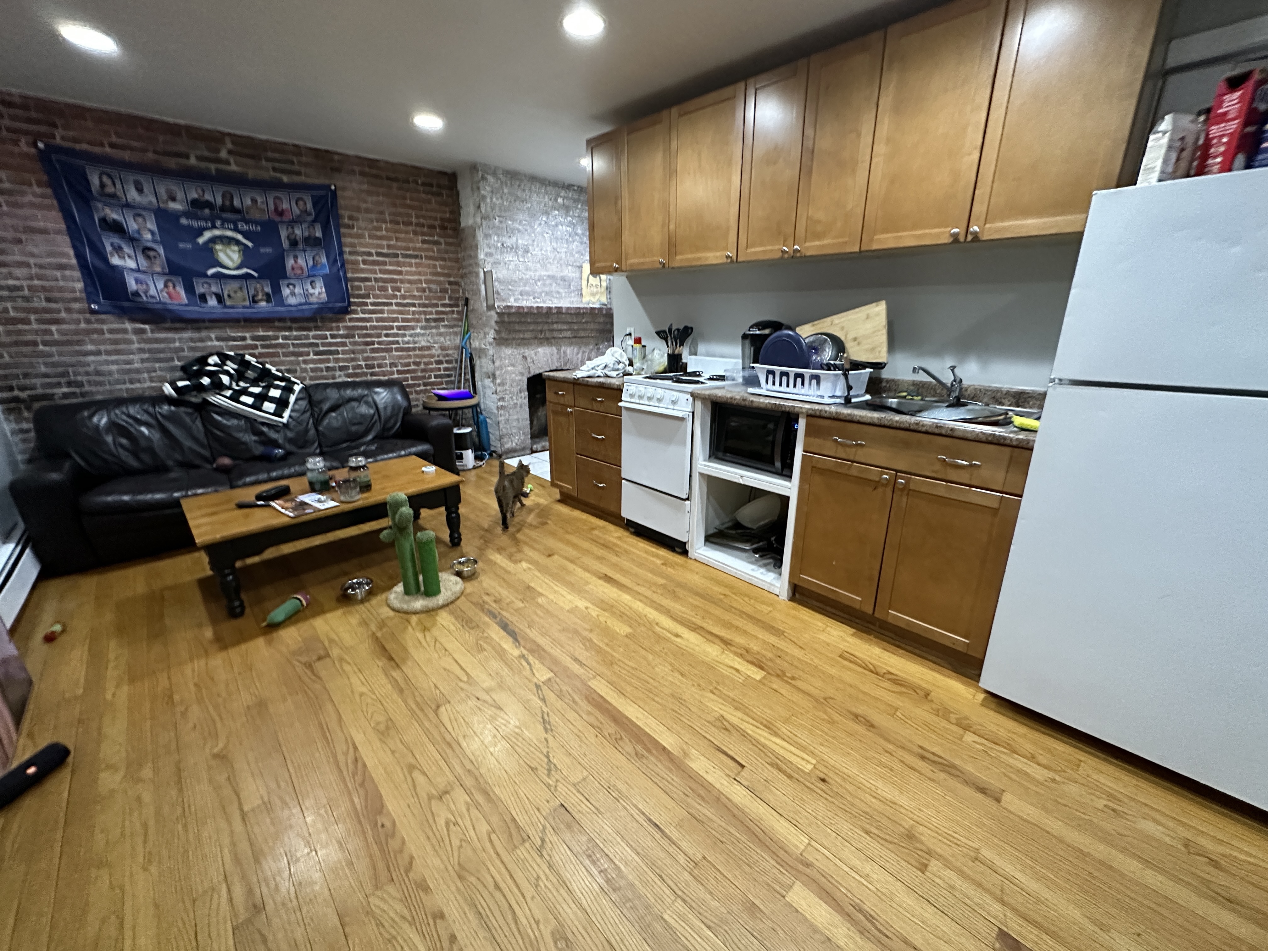 41 Anderson St, Beacon Hill