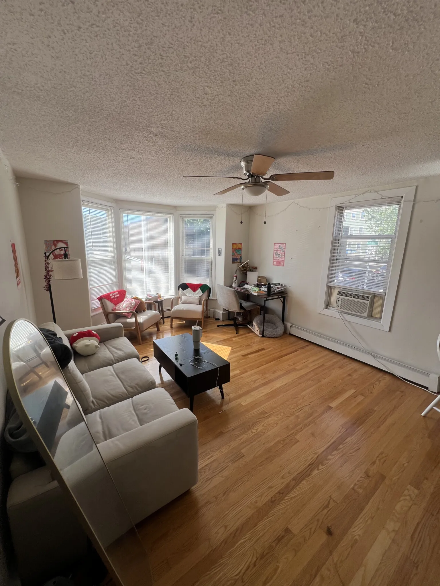 294 Prospect St, Wellington-Harrington