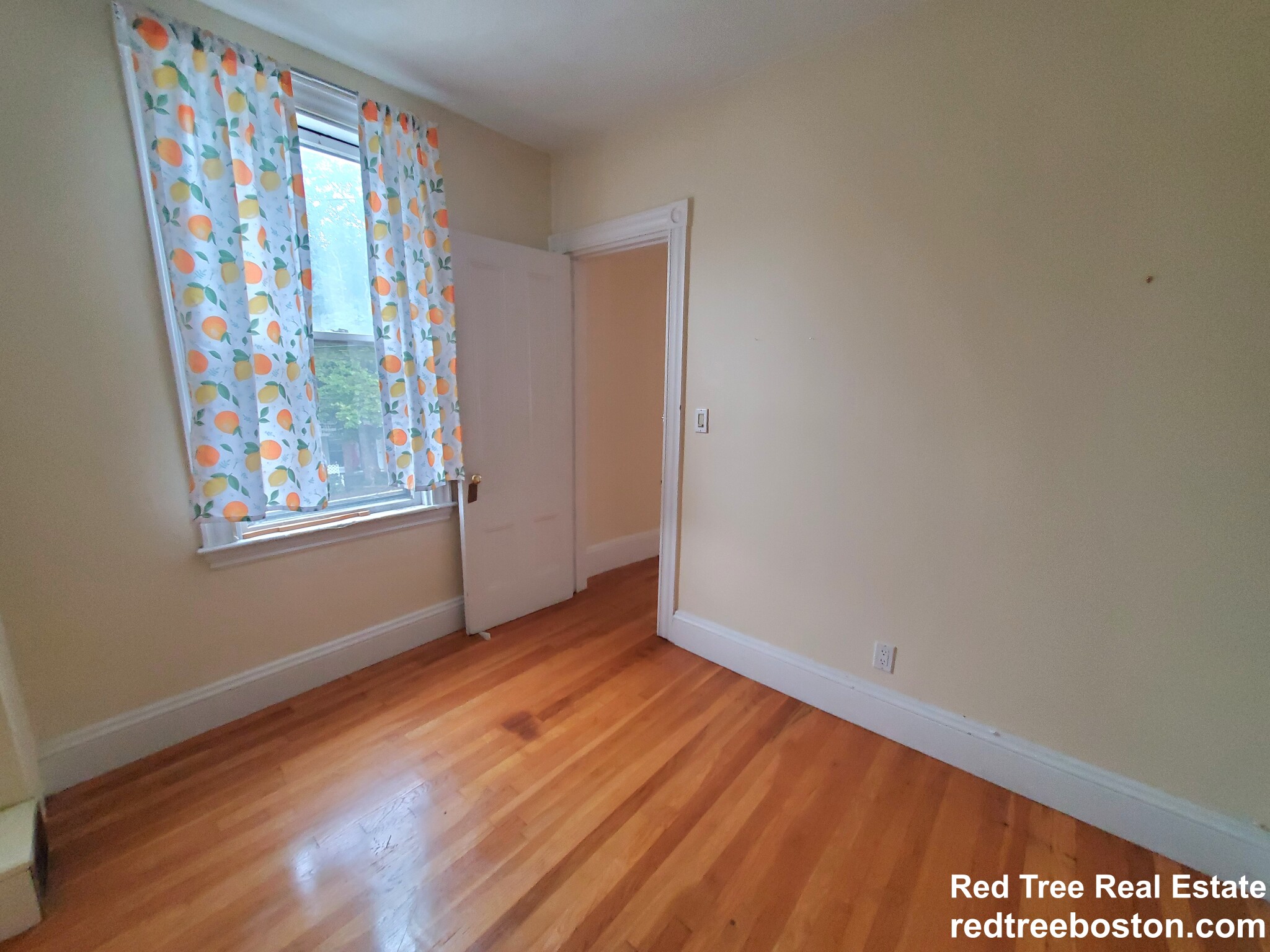 234 Cypress St, Brookline