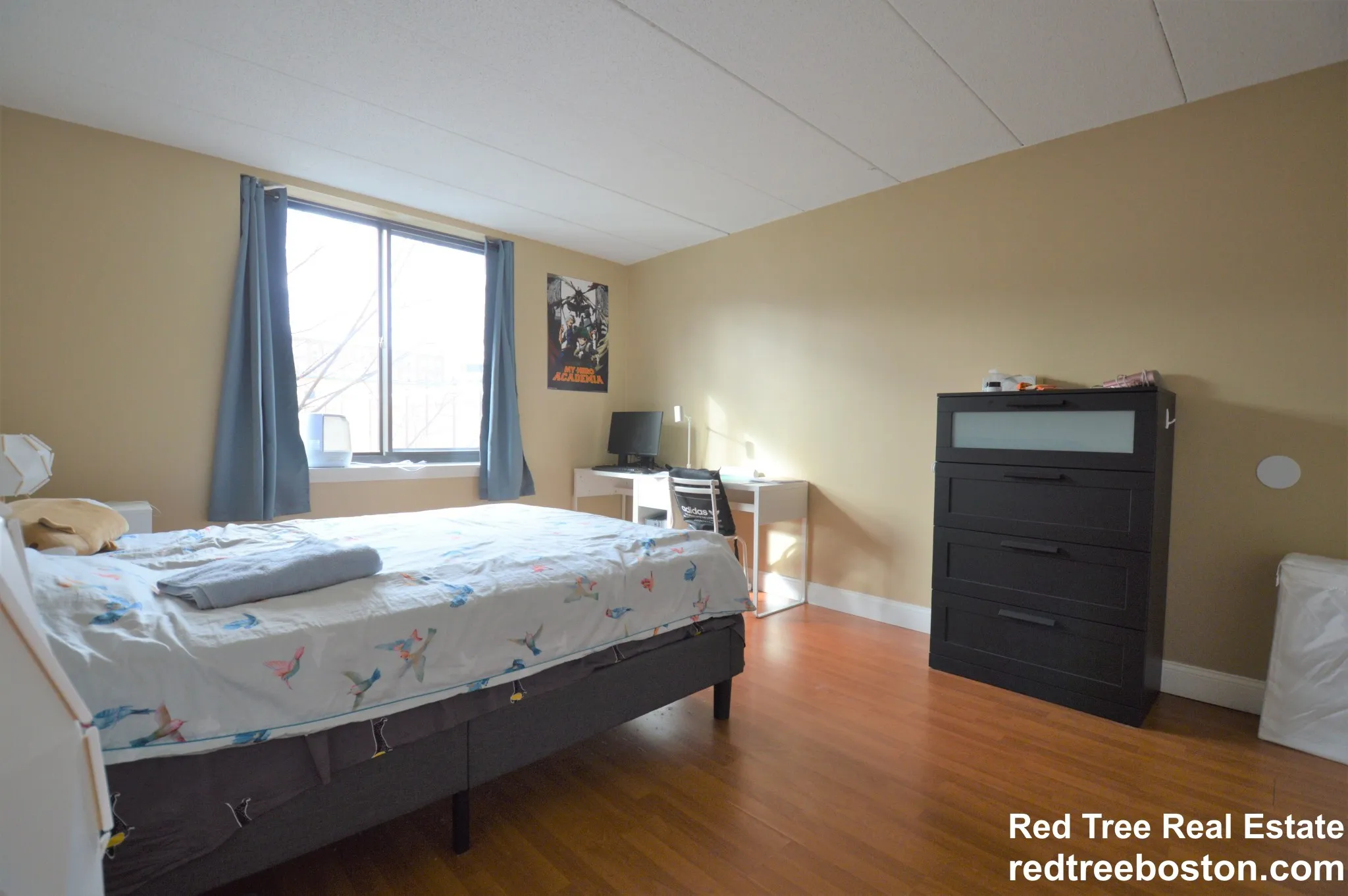 85 Brainerd Rd, Brighton