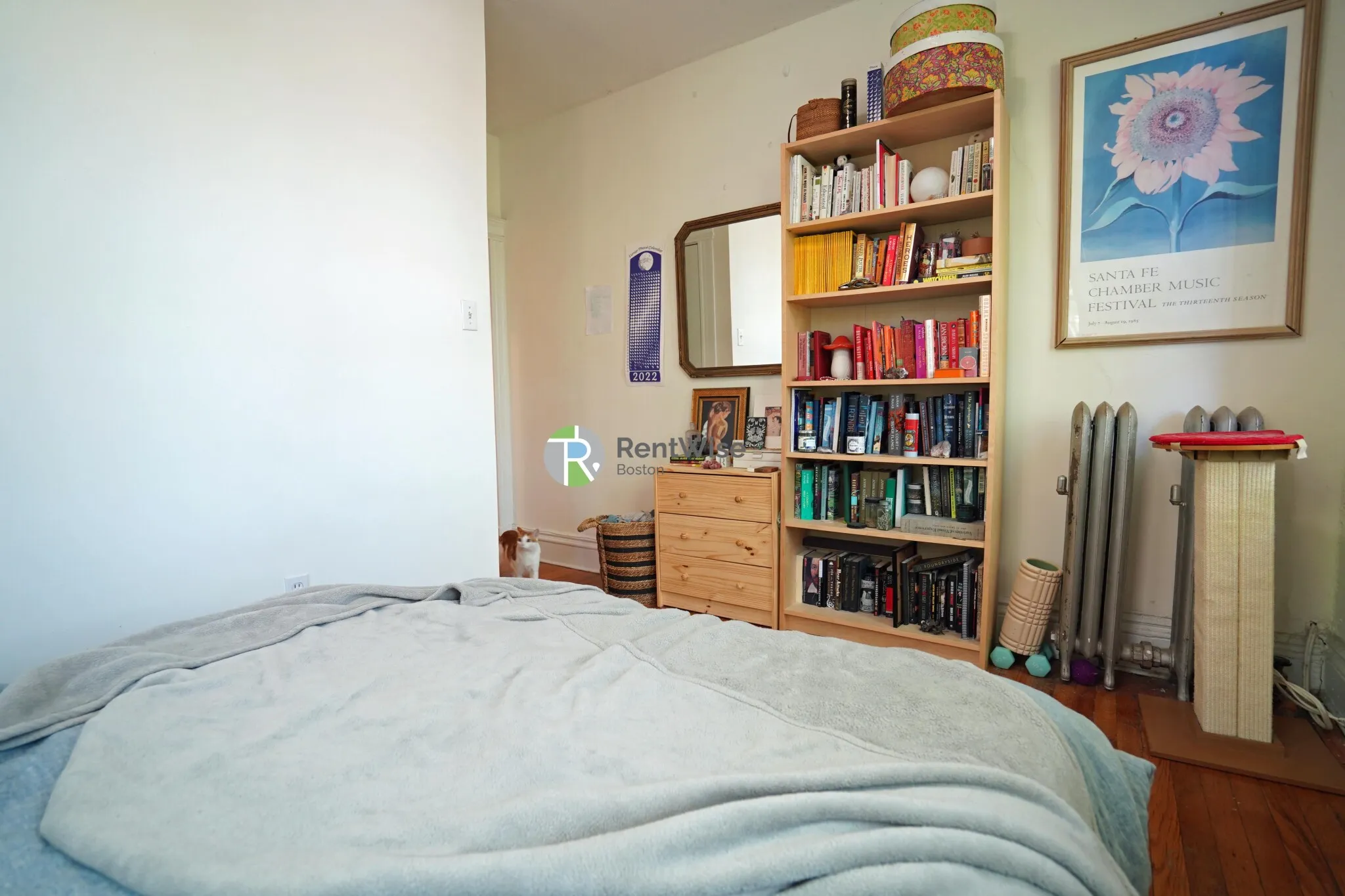 6 Camelot Ct, Brighton