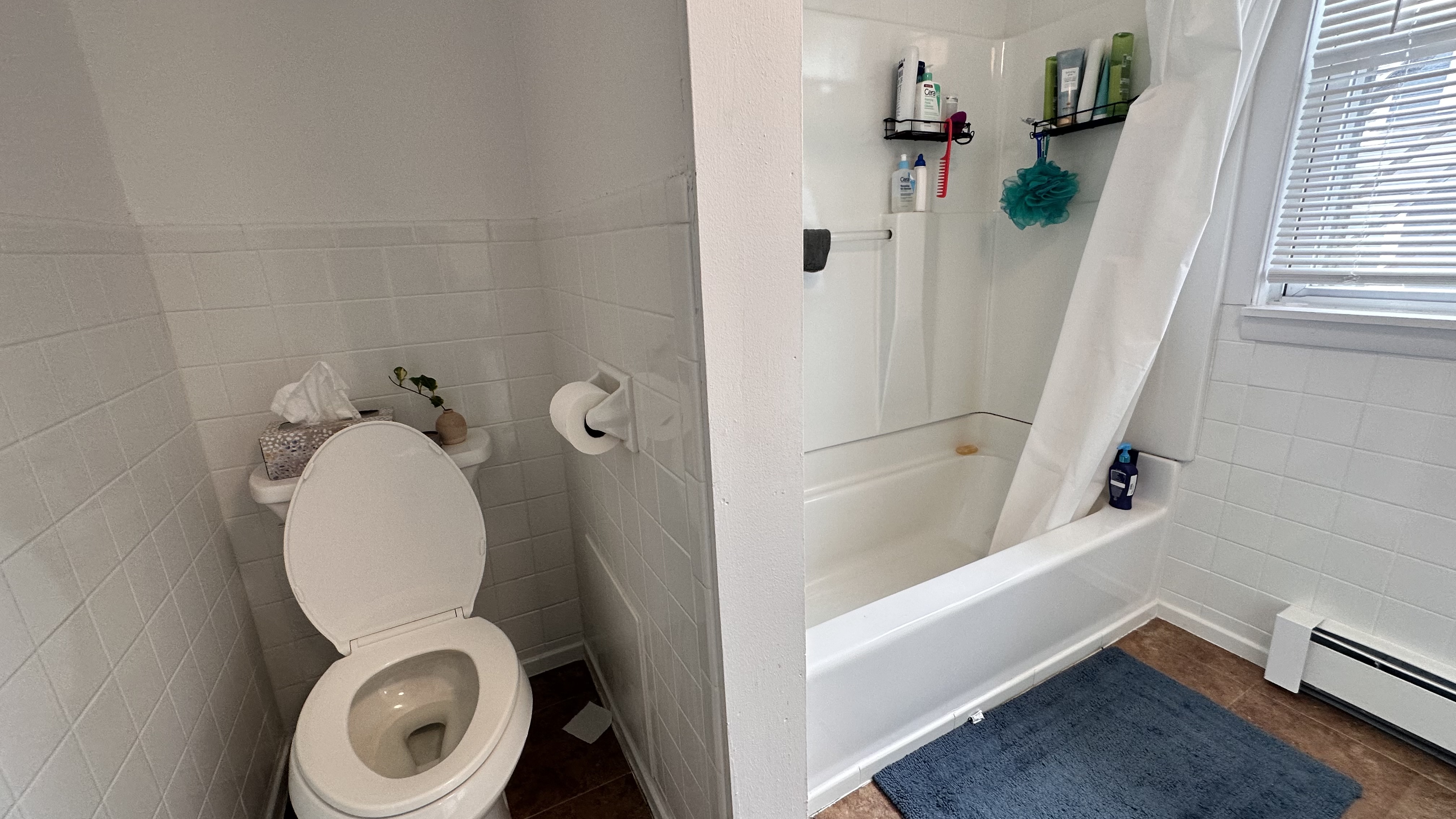 5 bed, 2 bath apartment for rent at 162 Babcock St Unit 3, Coolidge Corner — photo 15 of 19