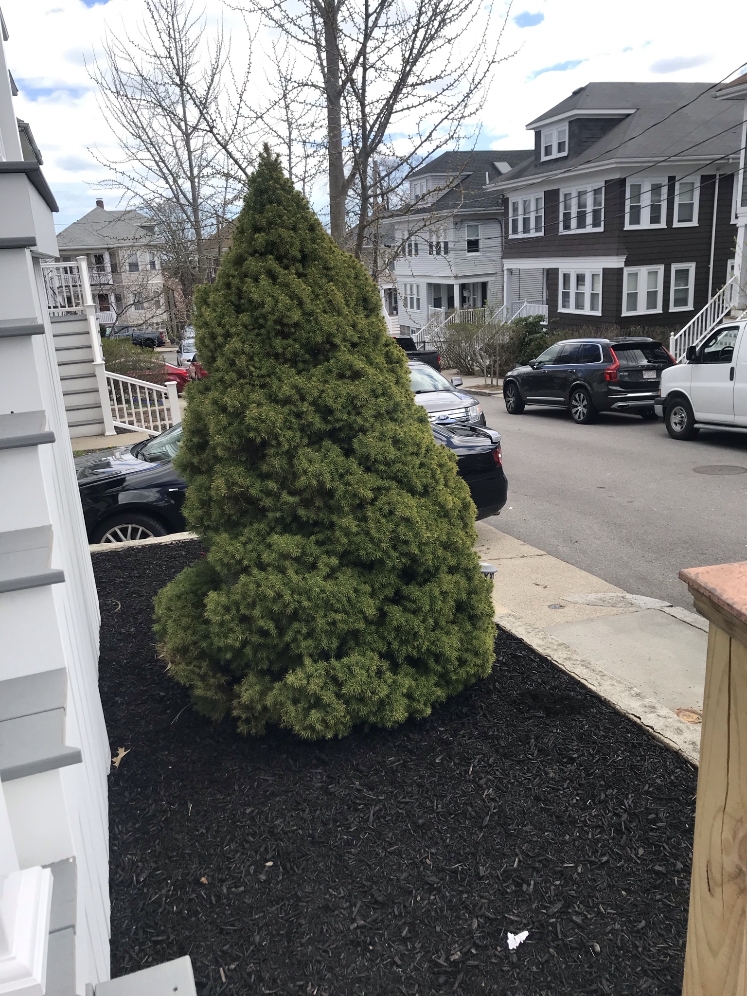 3 bed, 2 bath apartment for rent at 18 Arbroth St Unit 1, Dorchester — photo 7 of 31