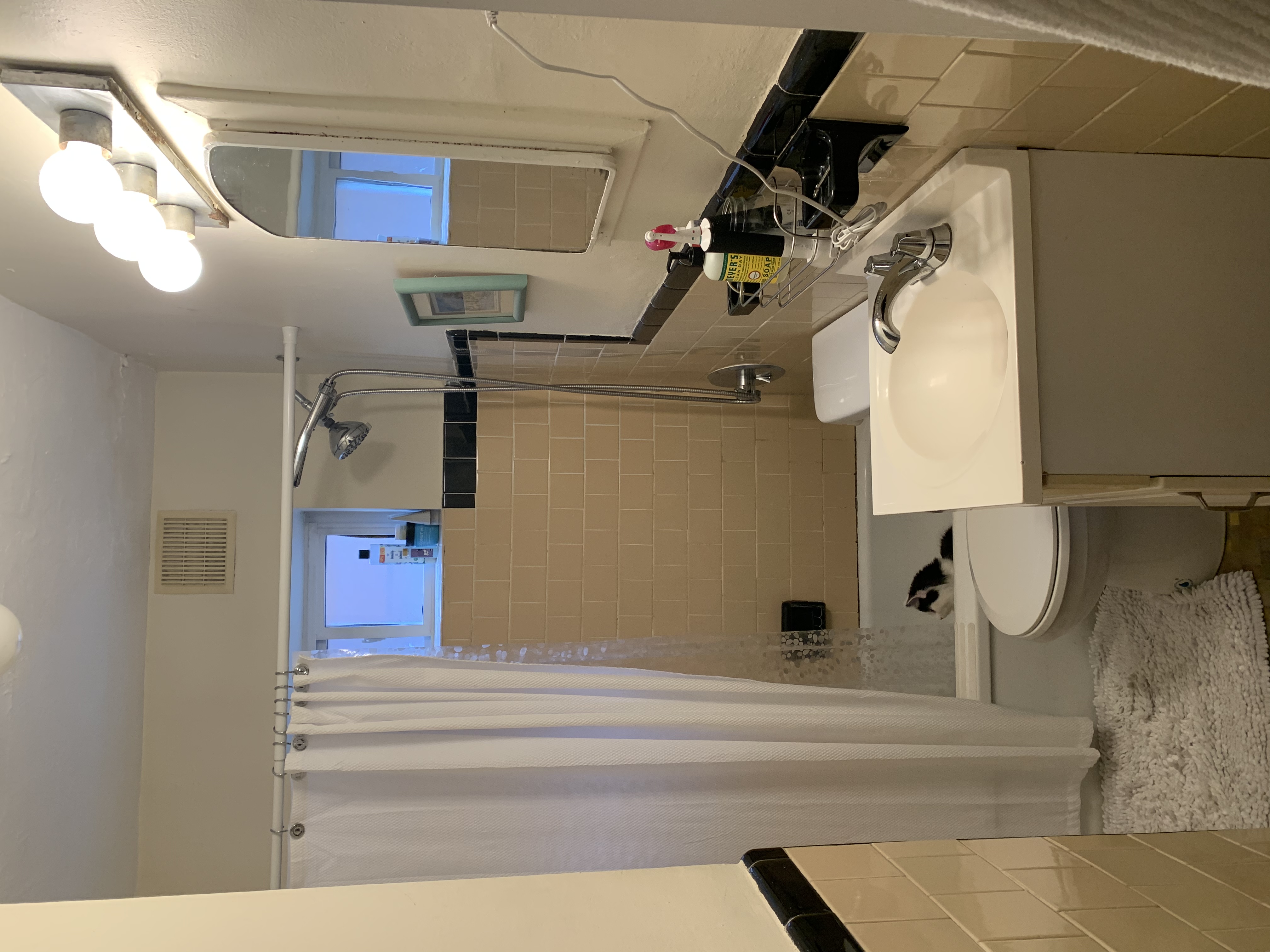 1 bed, 1 bath apartment for rent at 20 Brock St Unit 1-1, Brighton — photo 8 of 11