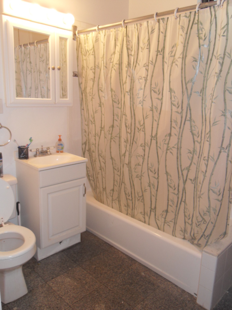 46 Carlton St, Longwood