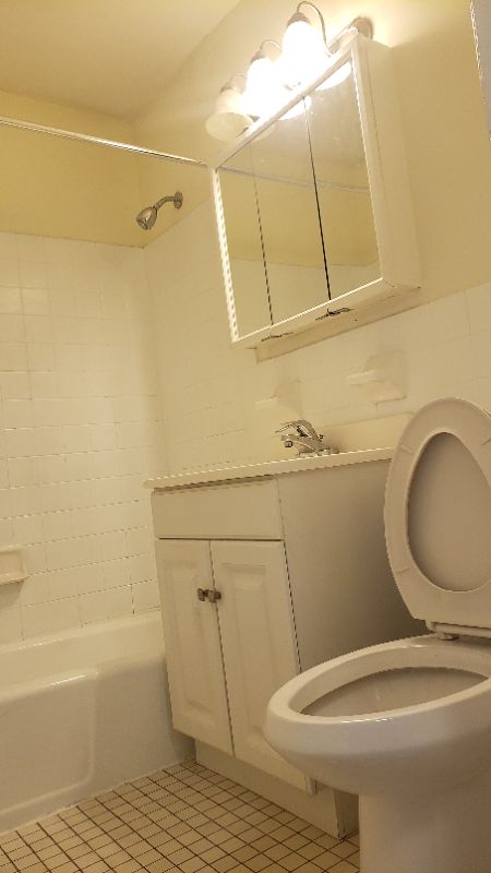 1 bed, 1 bath apartment for rent at 30 Iroquois St Unit 27, Roxbury