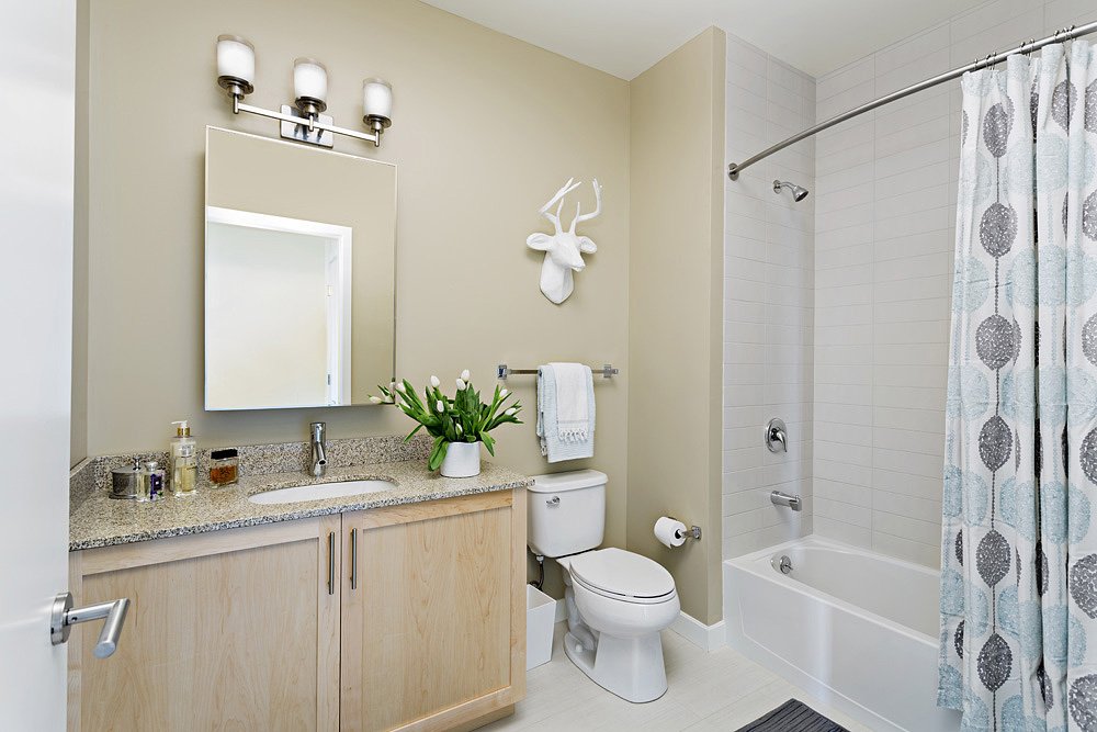 1 bed, 1 bath apartment for rent at 411 D St Unit N204, South Boston — photo 14 of 38