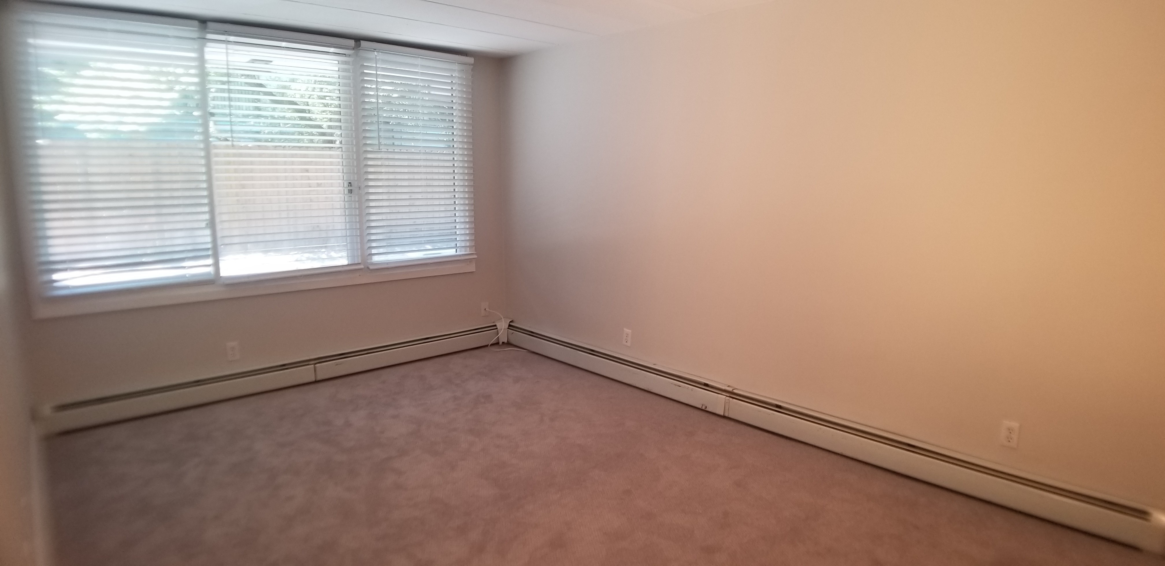 Studio bed, 1 bath apartment for rent at 345 Harvard Unit B1X, Mid Cambridge — photo 4 of 8