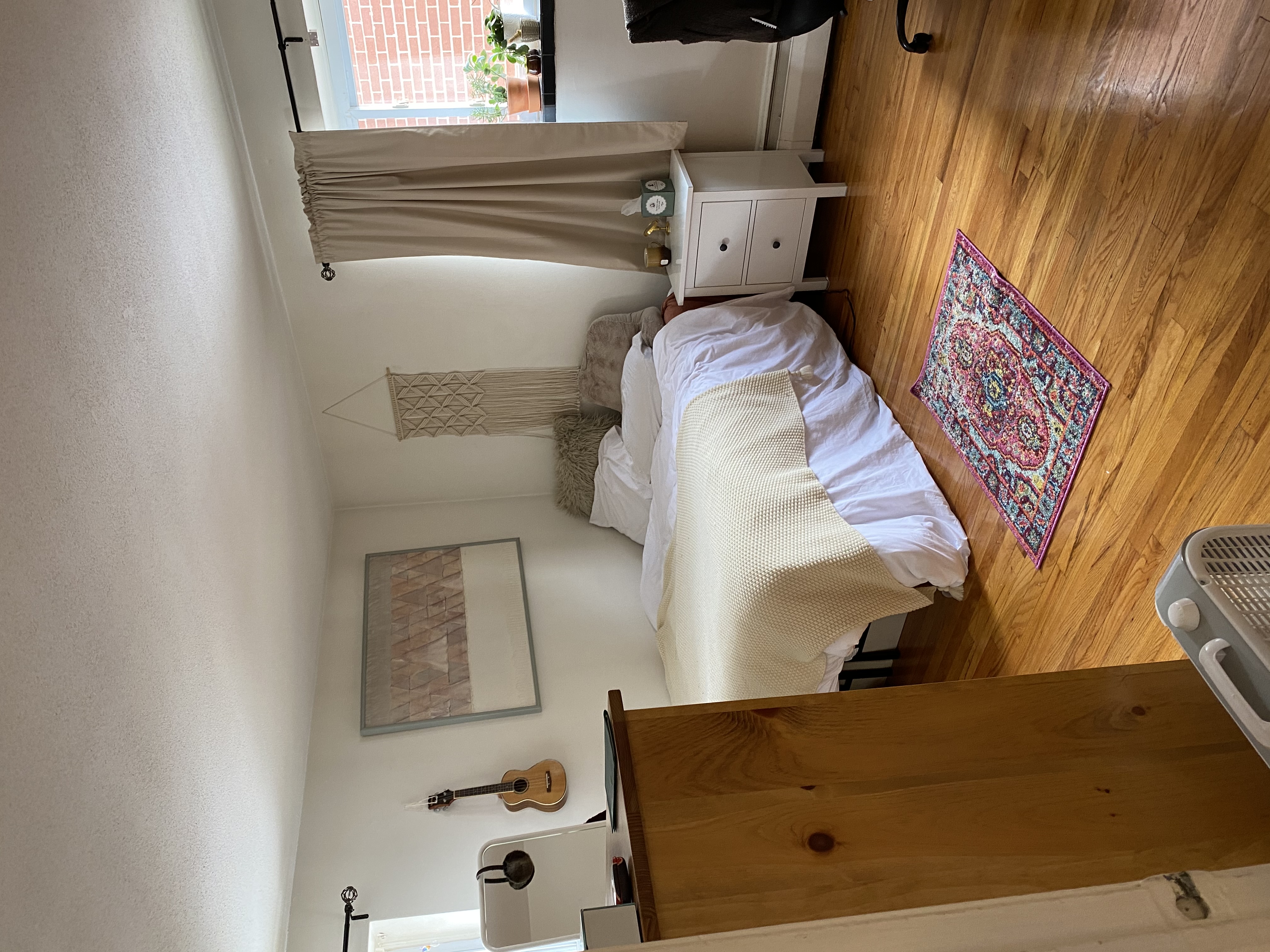 245 Kelton St, Brighton