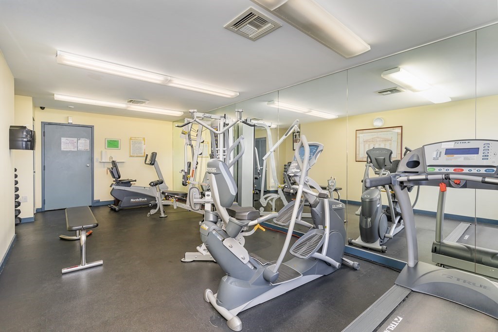 1 bed, 1 bath apartment for rent at 170 Gore St Unit 101, East Cambridge — photo 4 of 6