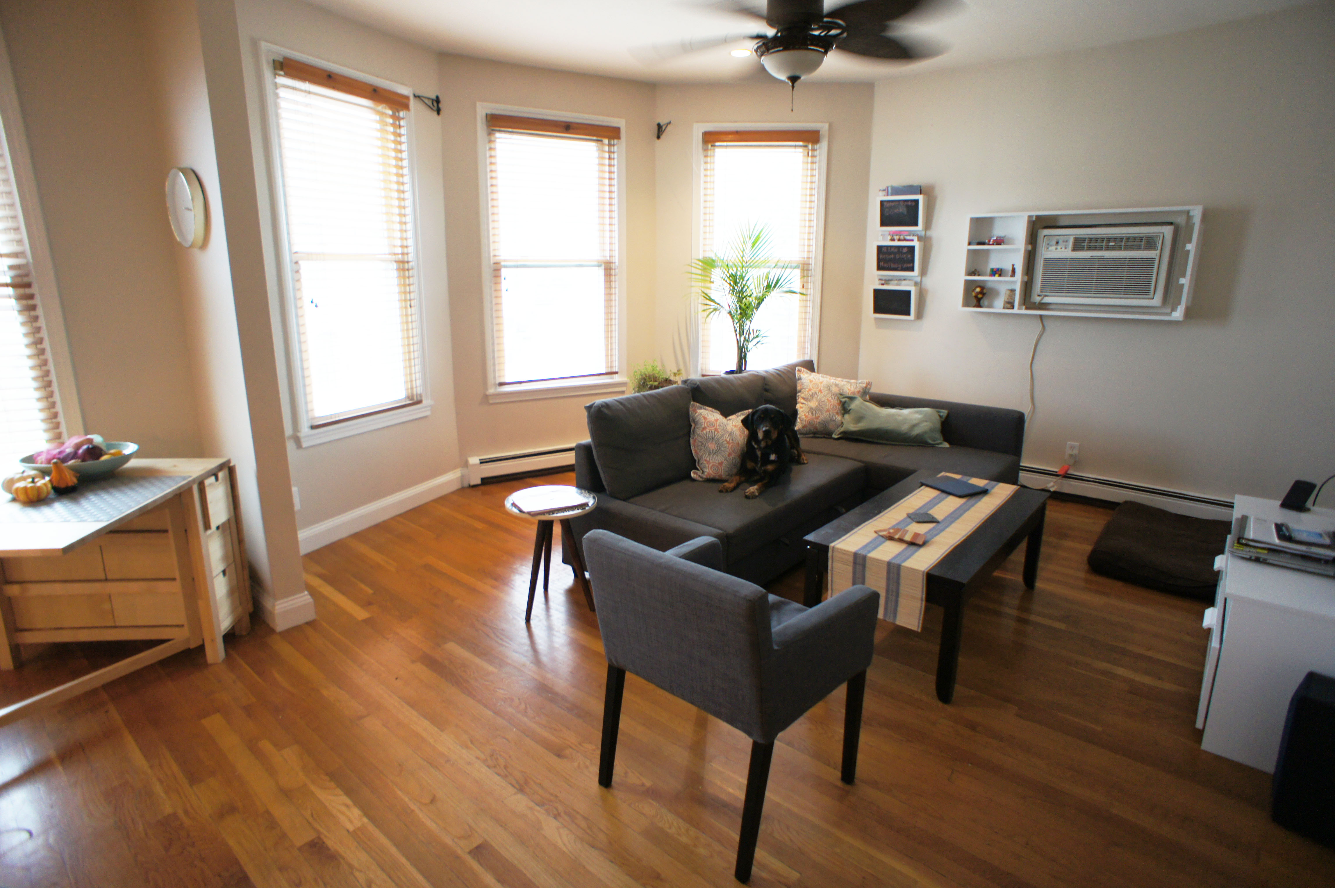 1 bed, 1 bath apartment for rent at 137 Dorchester St Unit 3C, South Boston — photo 5 of 10