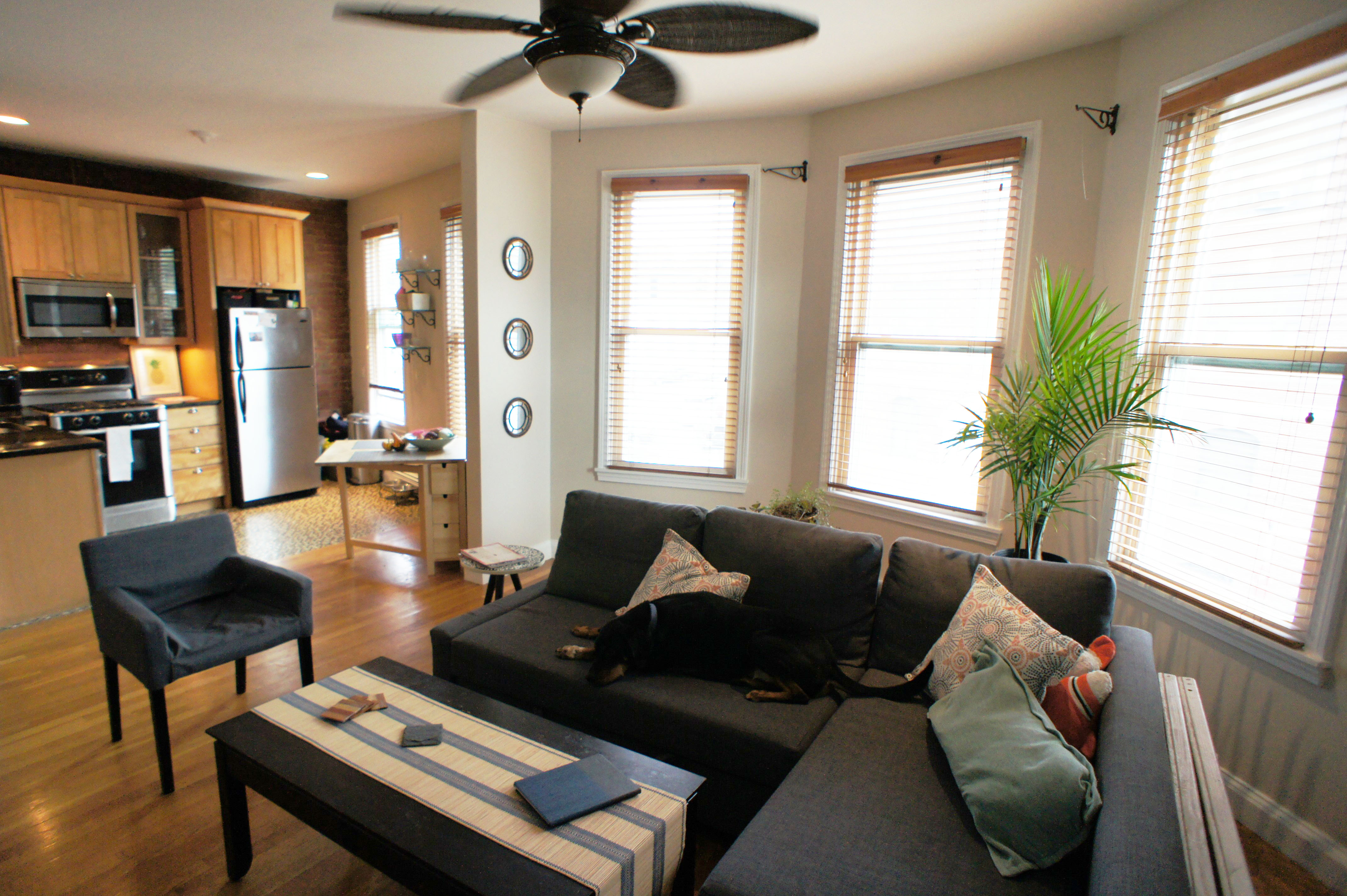 1 bed, 1 bath apartment for rent at 137 Dorchester St Unit 3C, South Boston — photo 6 of 10