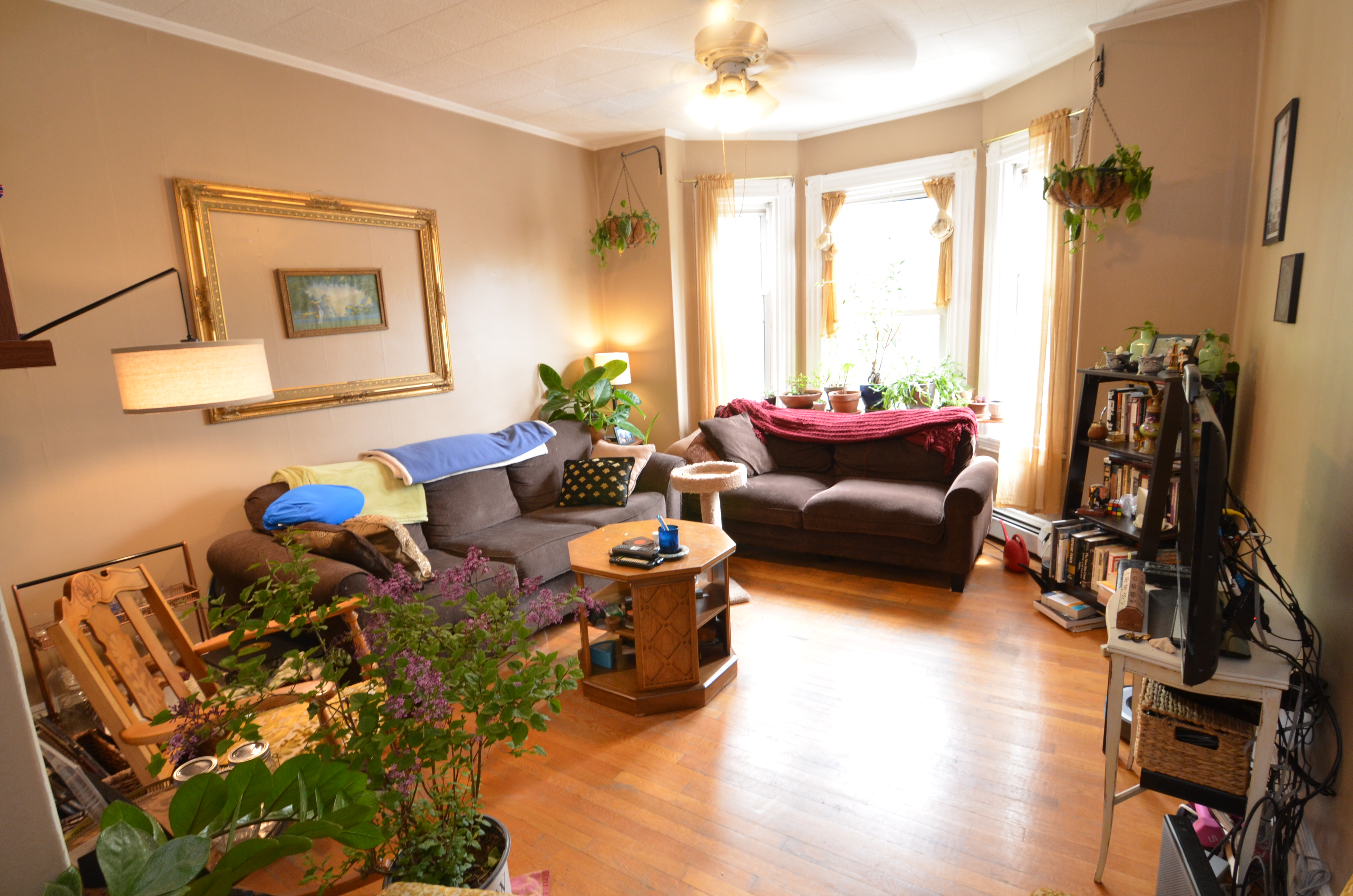 2.5 bed, 1 bath apartment for rent at 151 Tremont Unit none, Mid Cambridge — photo 7 of 17