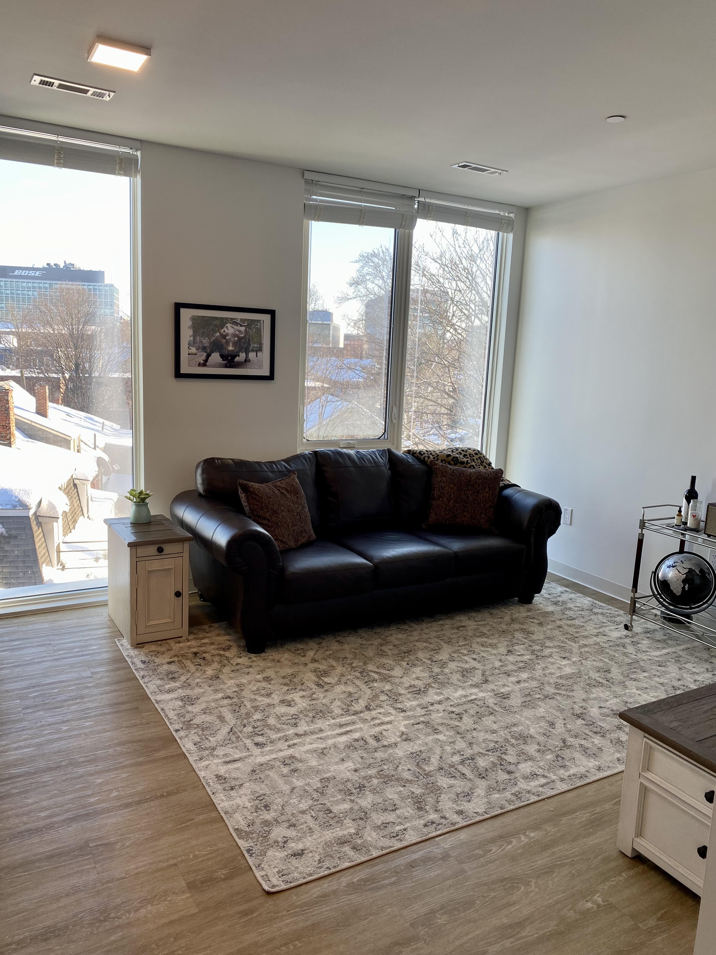 Studio bed, 1 bath apartment for rent at 530 Western Ave Unit 515, Brighton — photo 4 of 20