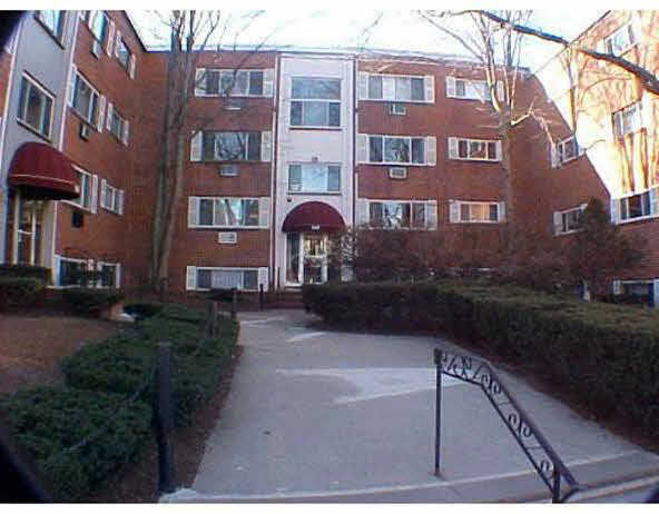 245 Kelton St, Brighton