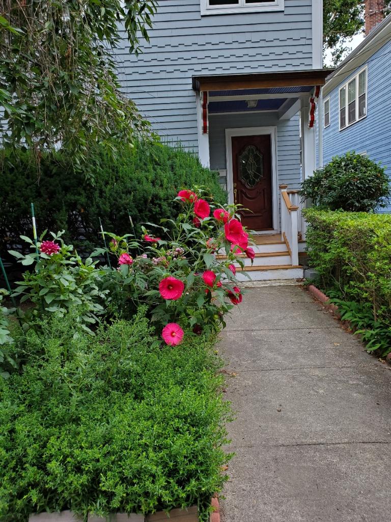 3 bed, 1 bath apartment for rent at 88 Davis Ave Unit 1, Brookline Village — photo 1 of 13