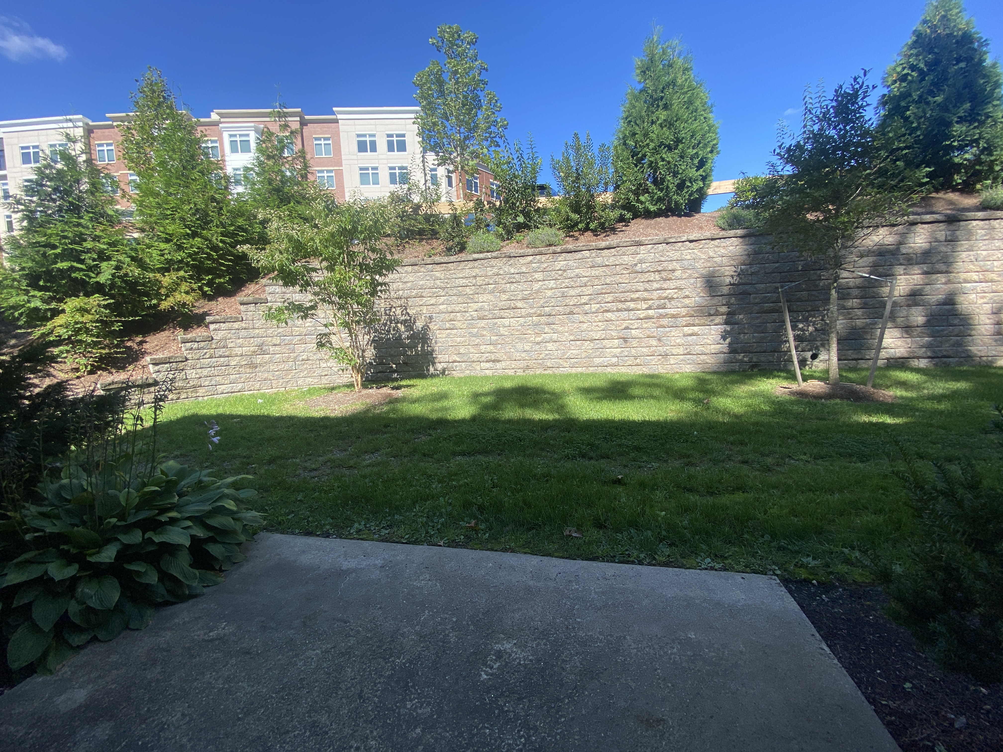 1 bed, 1 bath apartment for rent at 142 Sherman Rd Unit 1Std, Chestnut Hill — photo 8 of 17