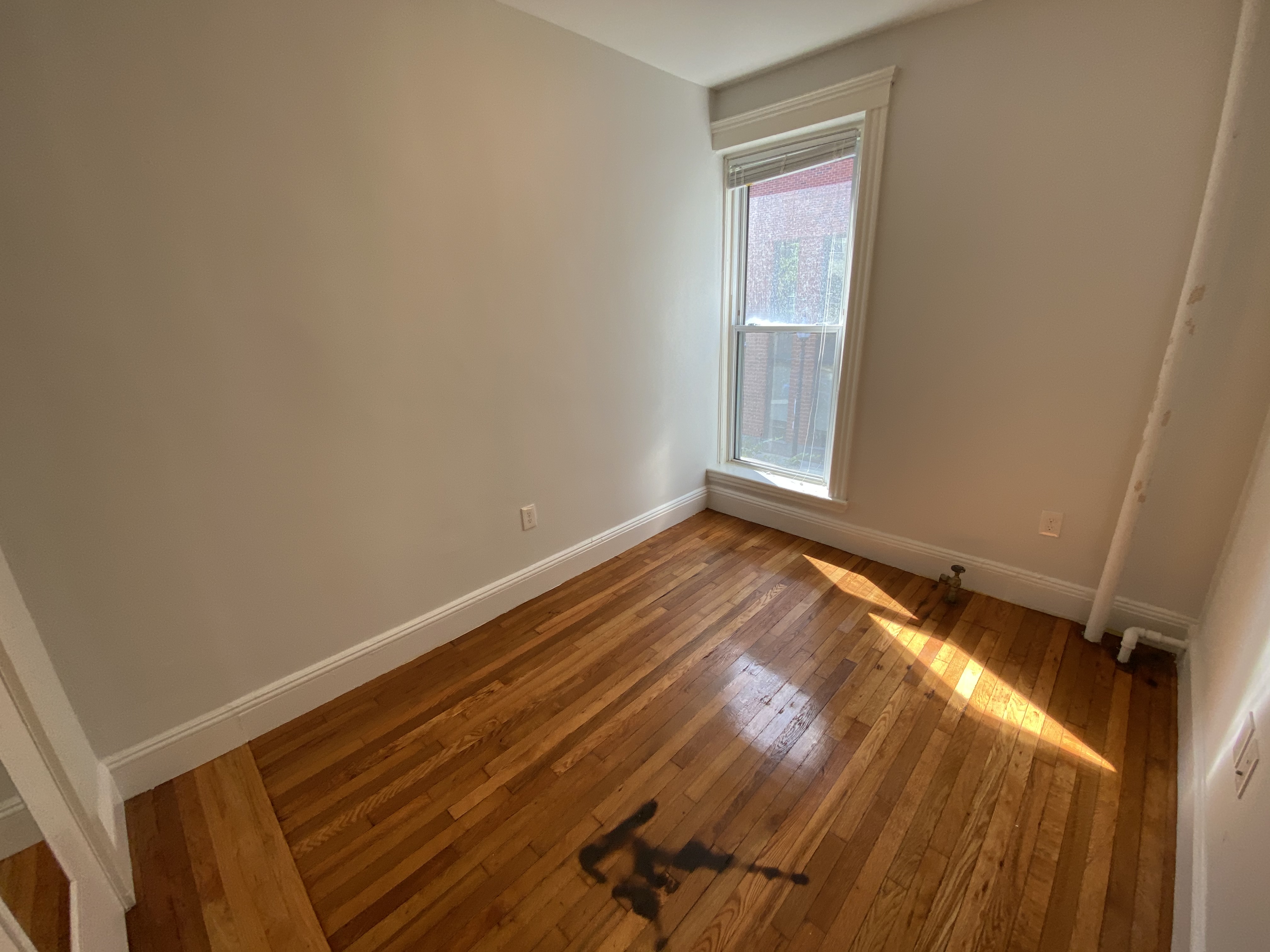 49 Worthington St, Mission Hill