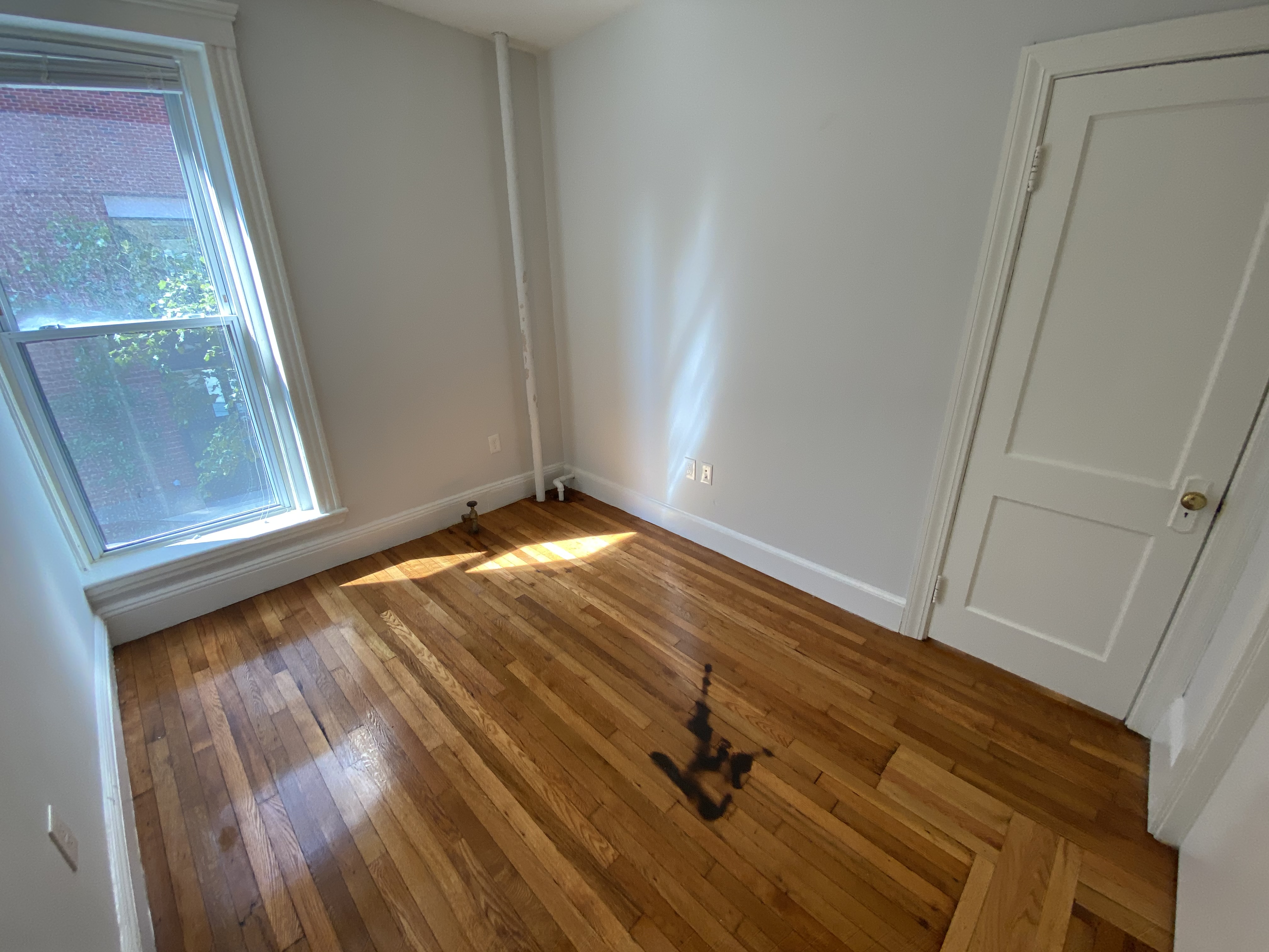 49 Worthington St, Mission Hill