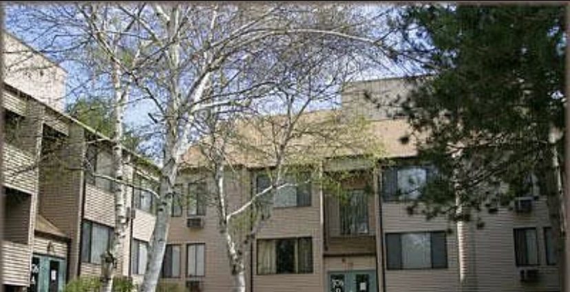 2 bed, 1 bath apartment for rent at 378 Sunderland Rd Unit 24, Shrewsbury Street — photo 3 of 4