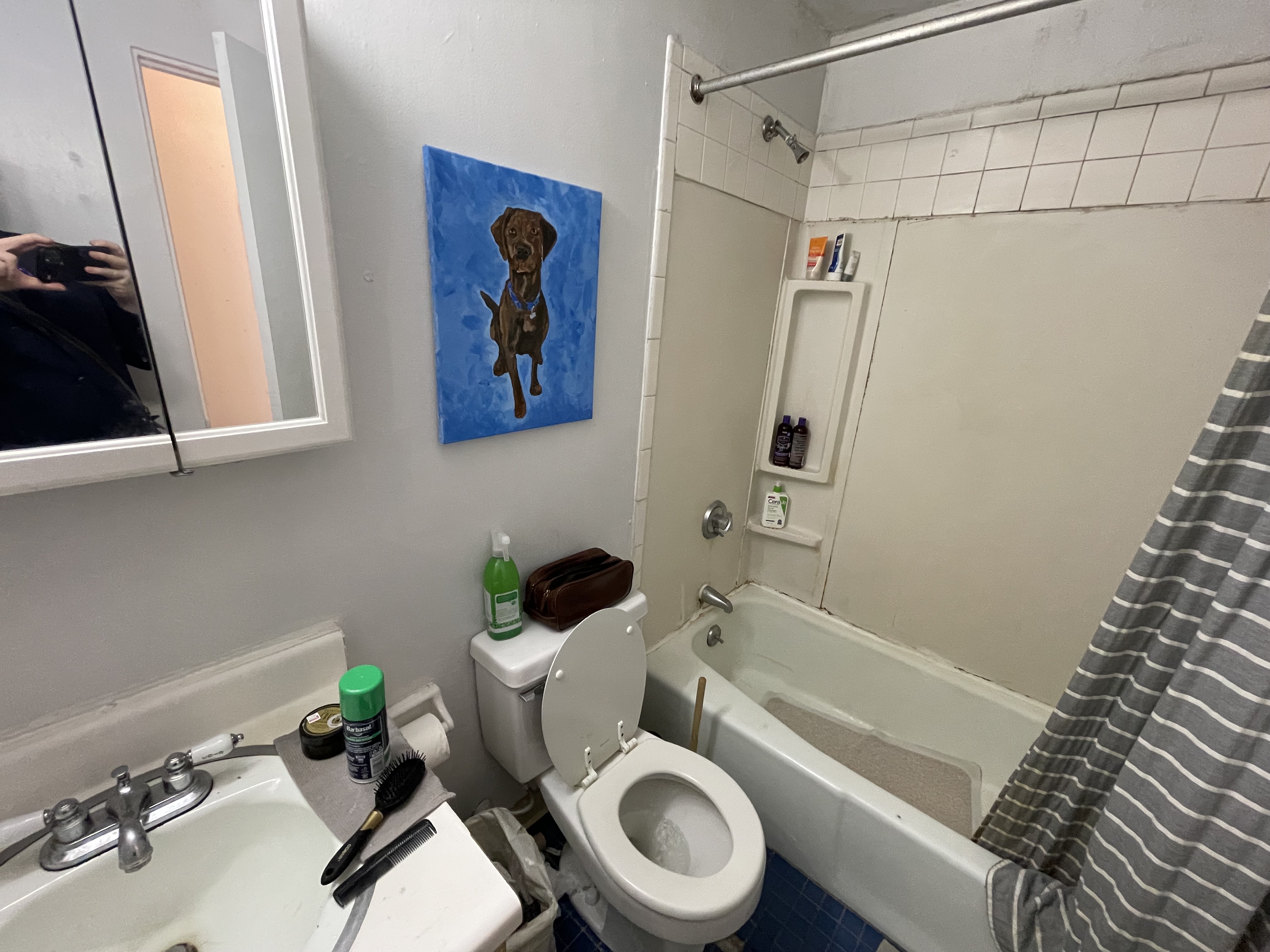 23 Cortes St, Back Bay