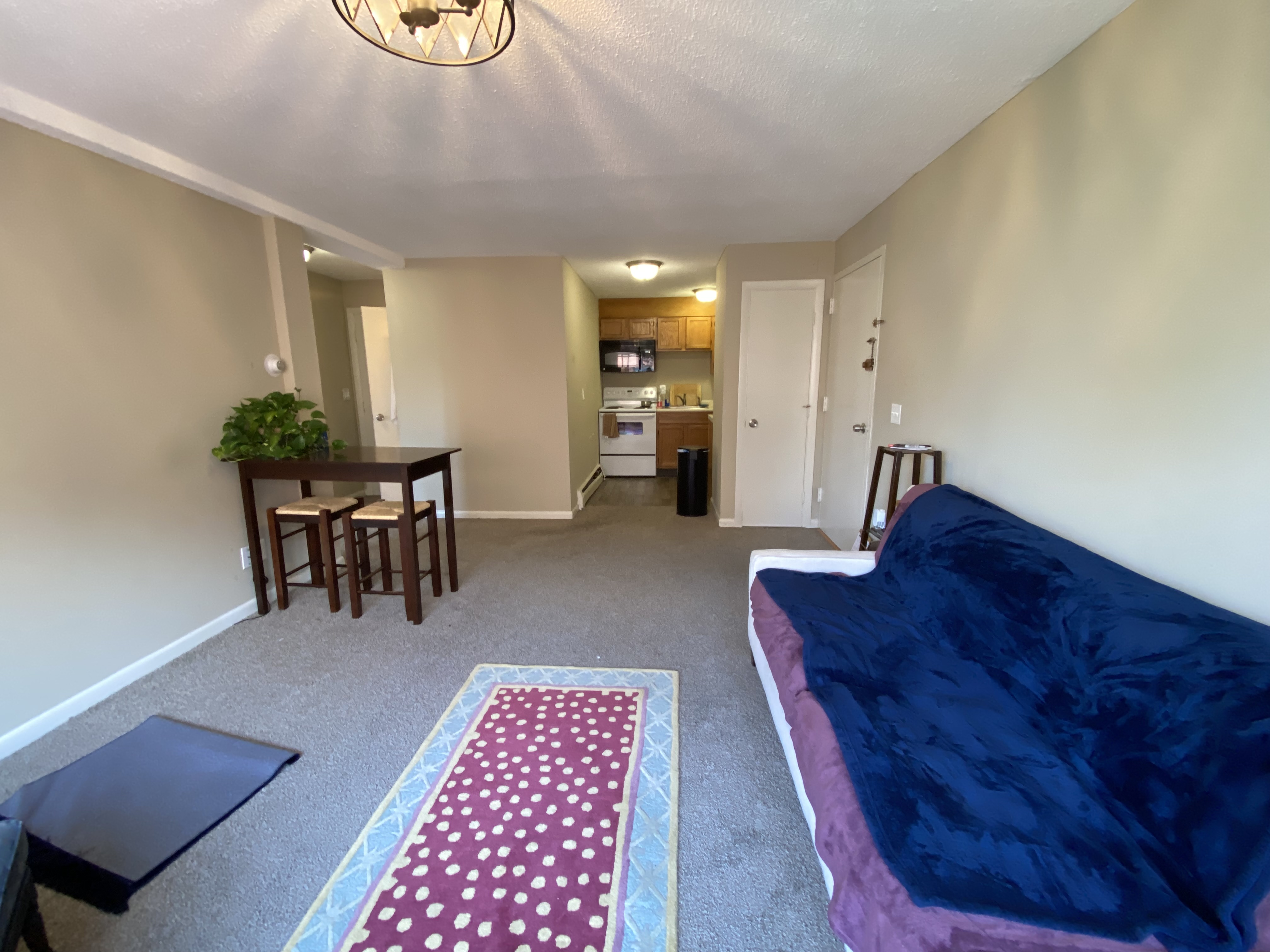 2 bed, 1 bath apartment for rent at 375 Harvard St Unit 23, Harvard Square — photo 5 of 10